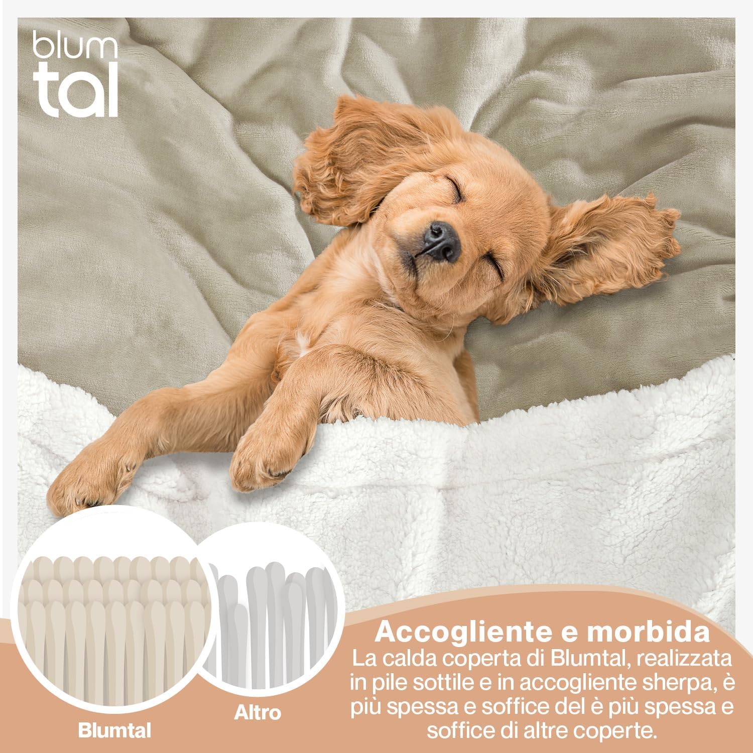 Blumtal Plaid in Pile Sherpa 230x270cm, Beige - immagine 4