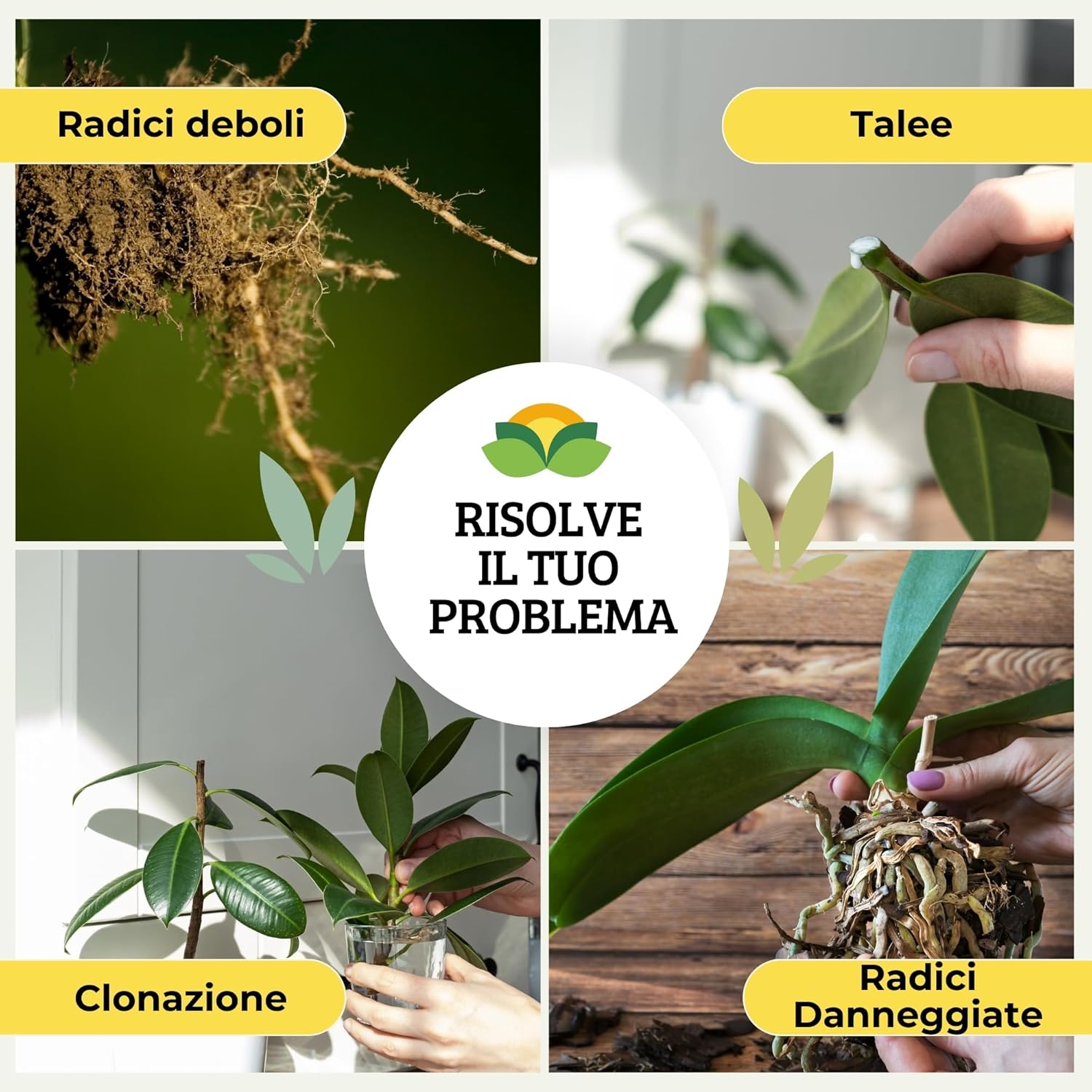 Albagarden Ormotonic Radicant - Radicante per Talee 100gr - immagine 4