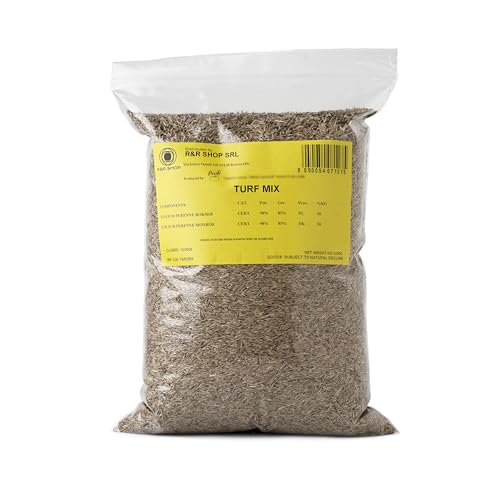 R&r Shop - Semi per Prato Loietto Perenne 5Kg