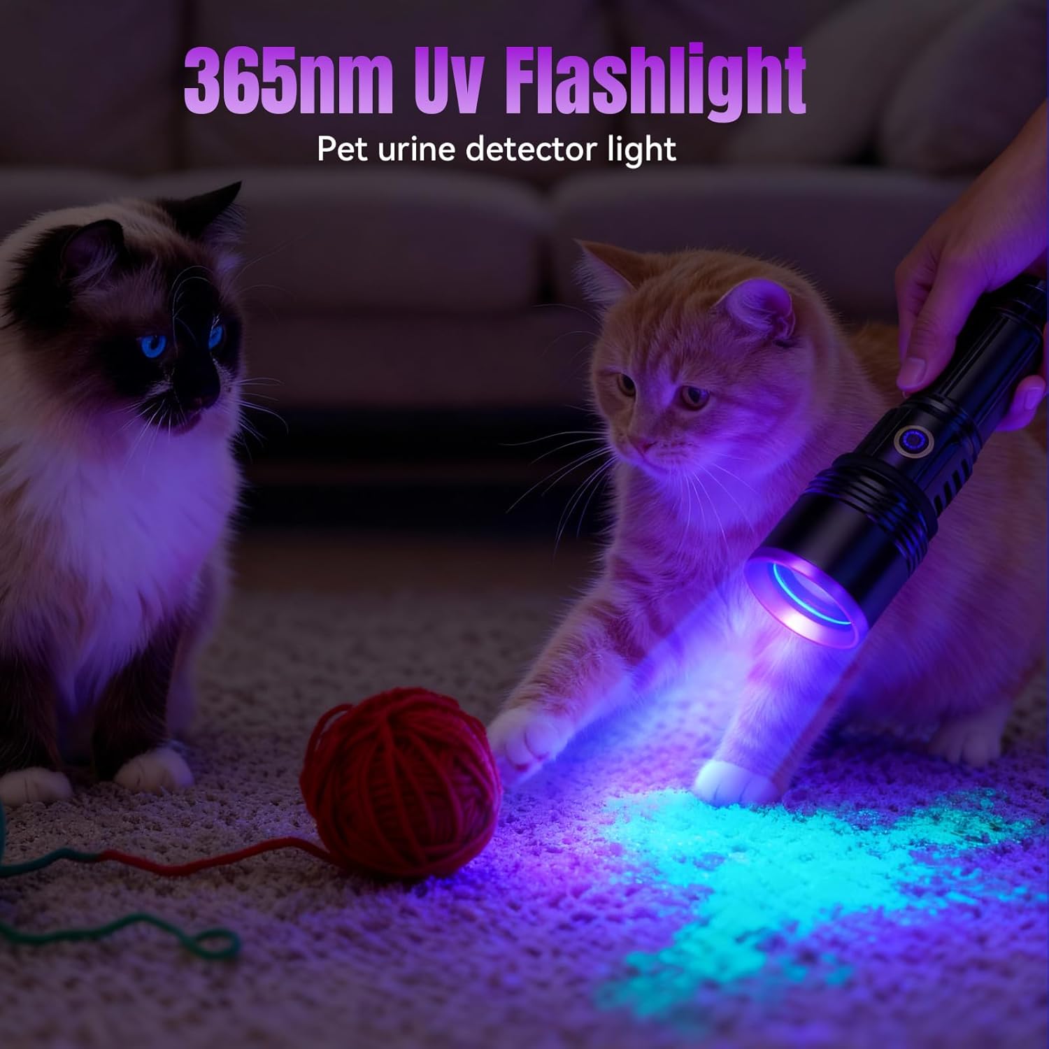 Torcia UV 365 nm 30W Ricaricabile USB-C Blacklight - immagine 7