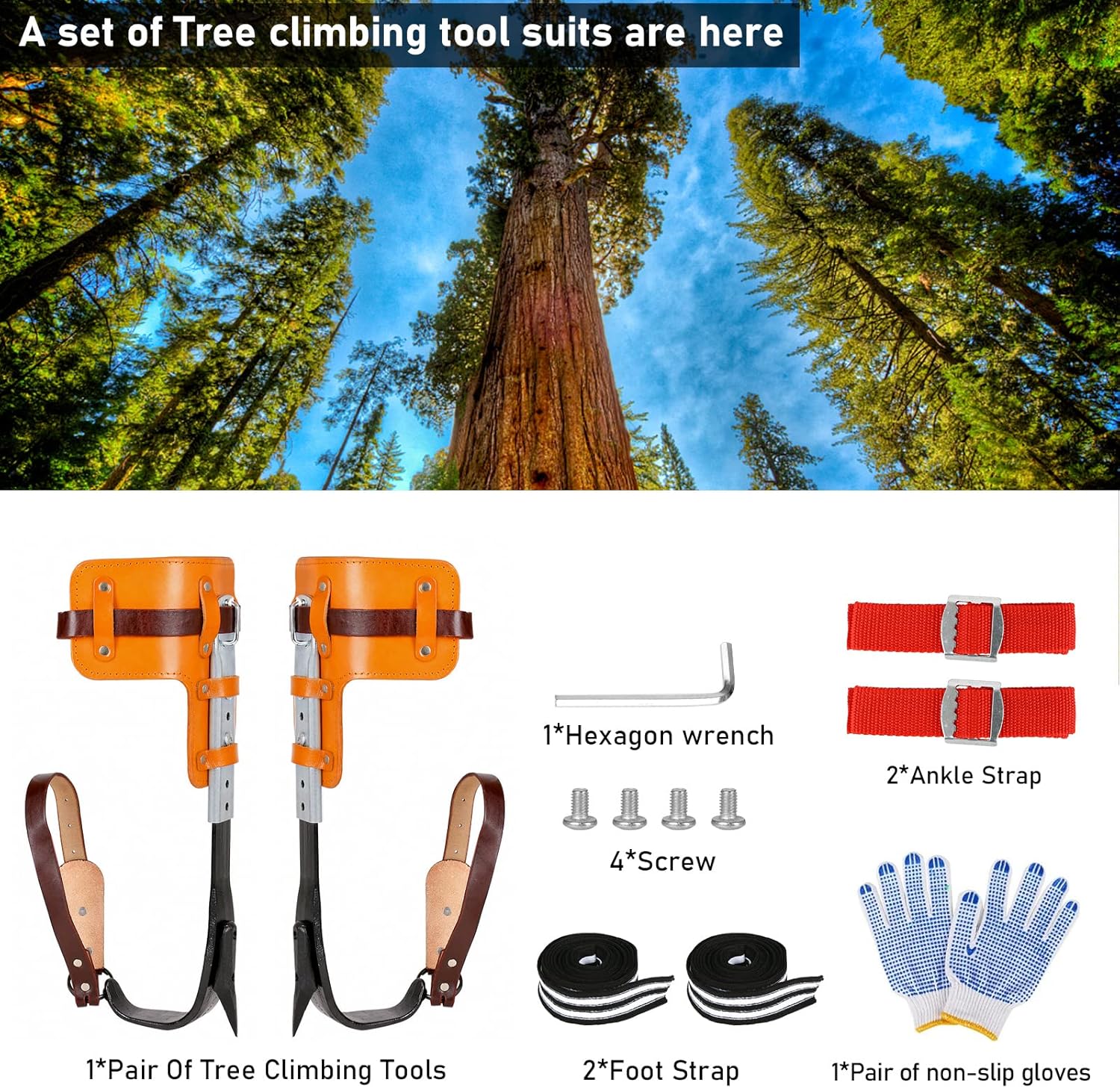 jackfru Ramponi per Arrampicata Albero Picco Set - immagine 3