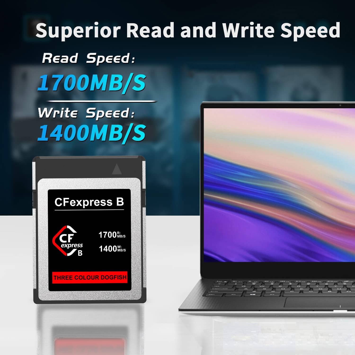 Dogfish 2TB Scheda di Memoria CFexpress Tipo B - immagine 2