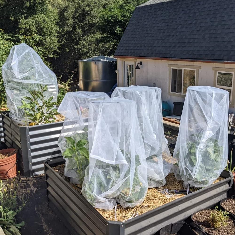 Rete Barriera per Insetti e Uccelli 4 Pezzi - immagine 2