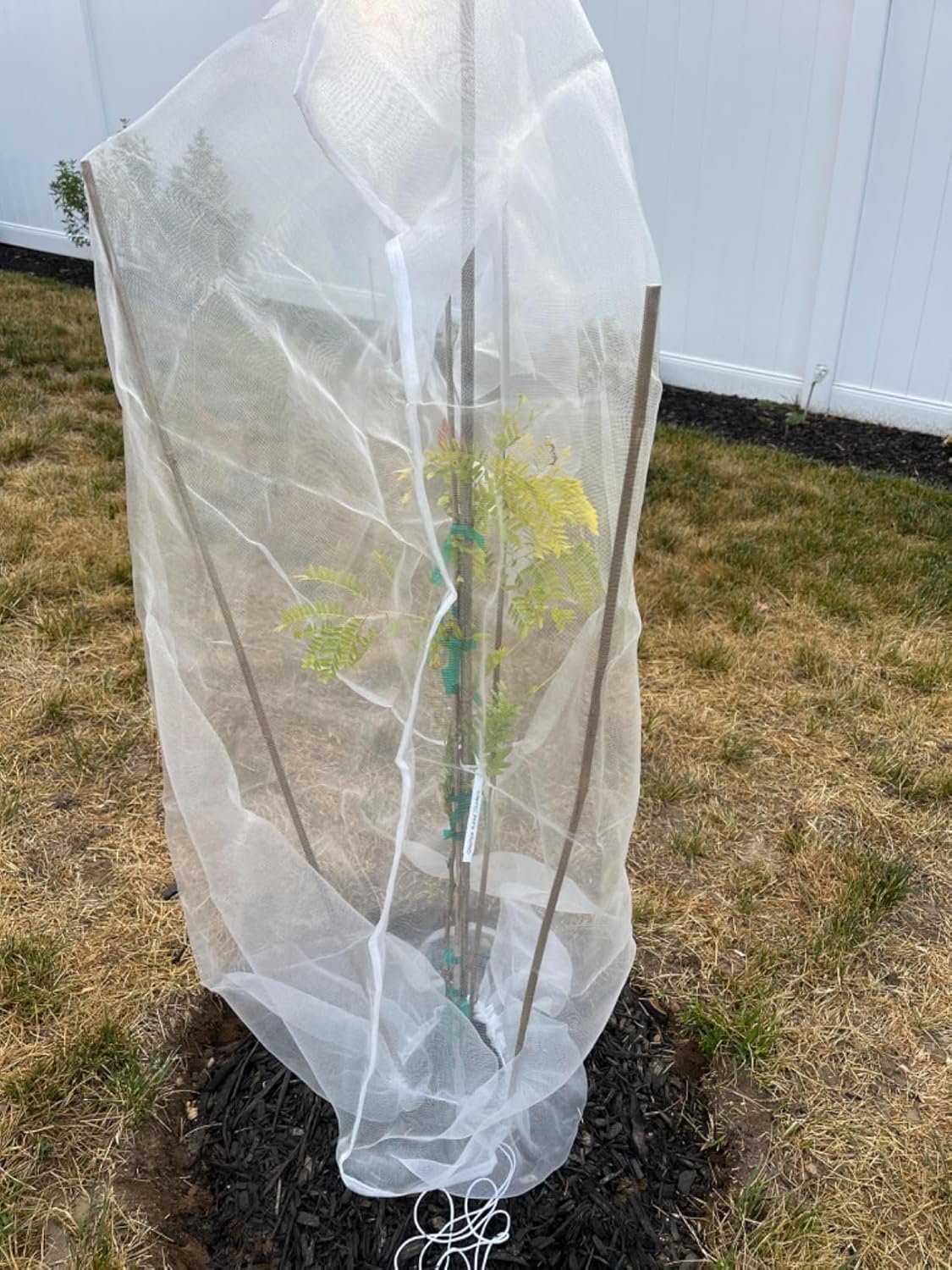 Rete Barriera per Insetti e Uccelli 4 Pezzi - immagine 4