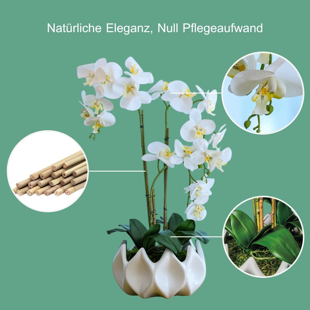 Belalusa Orchidee Artificiali 70 cm, in Vaso - immagine 3