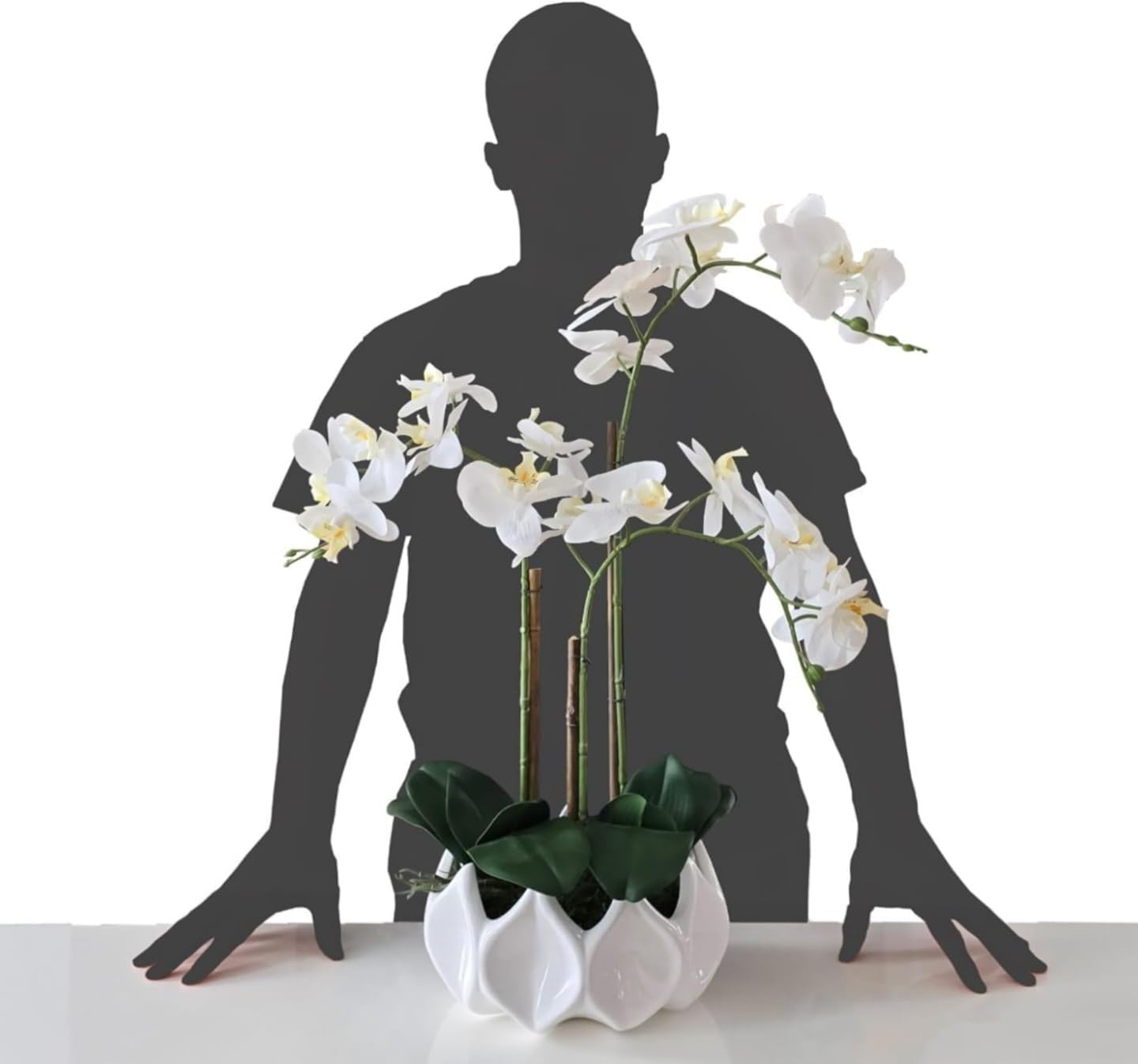 Belalusa Orchidee Artificiali 70 cm, in Vaso - immagine 8