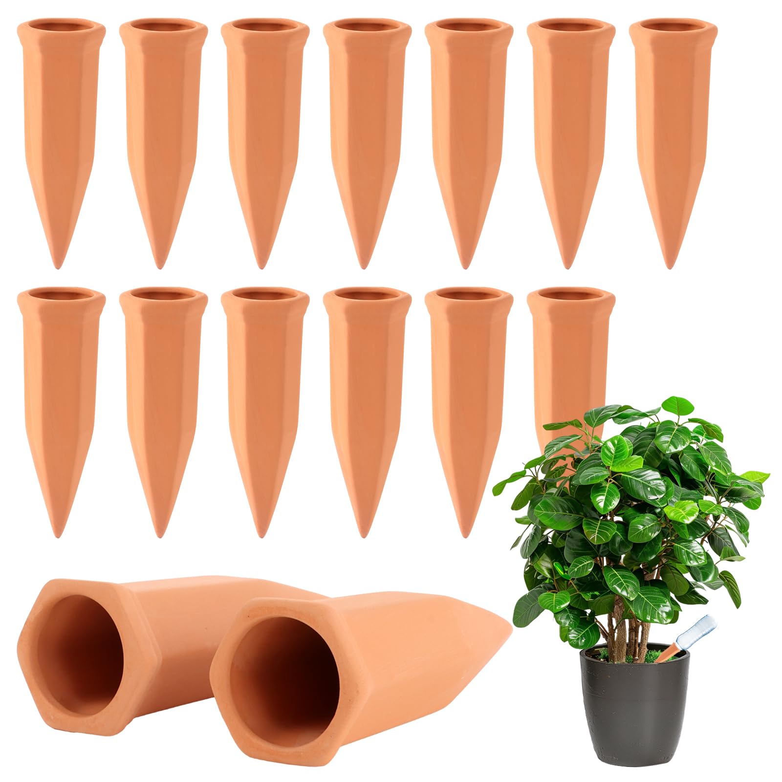 Set 15 Coni di Argilla per Irrigazione Autonoma