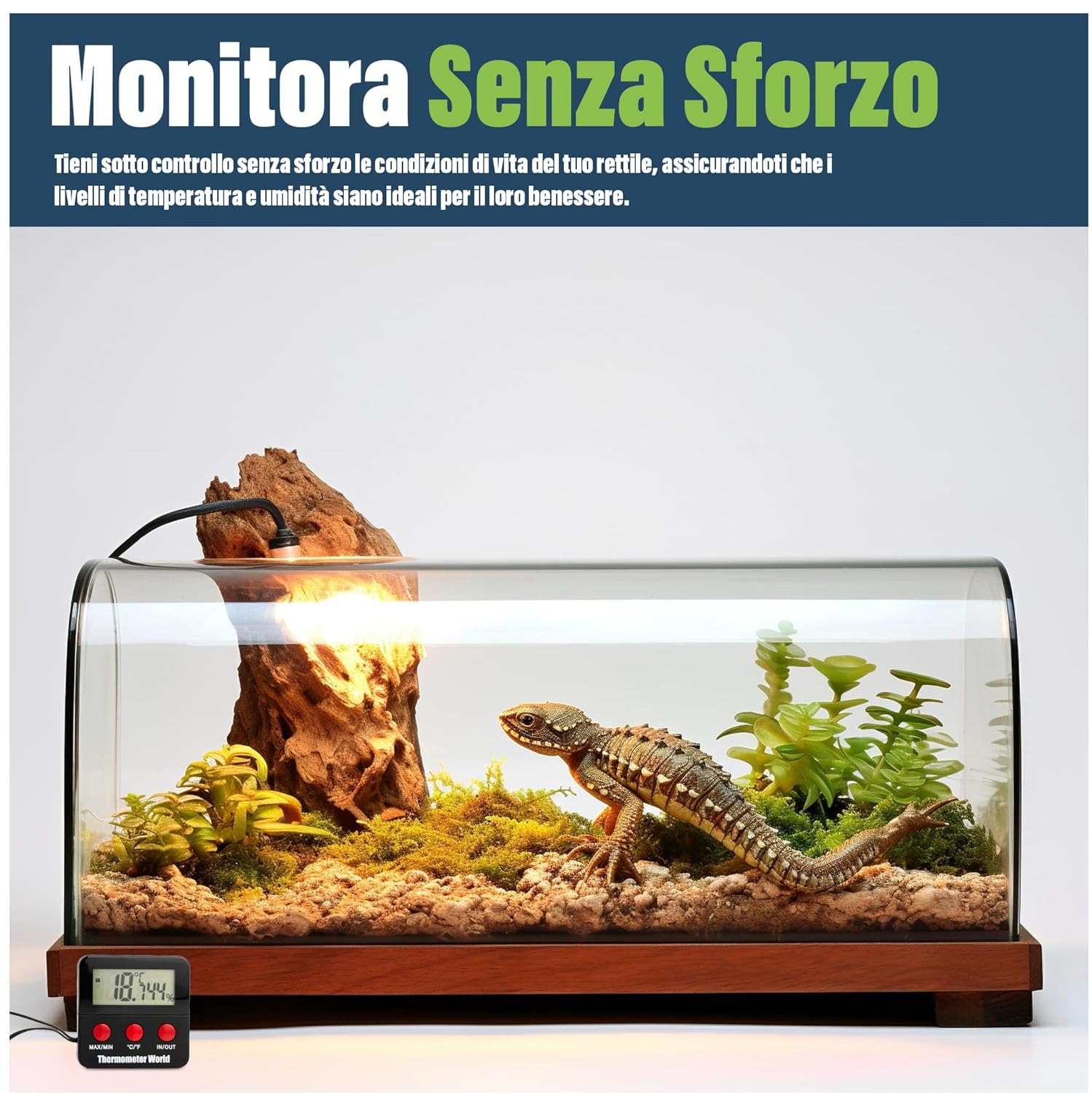 Termometro e Igrometro Digitale per Terrario Rettili - immagine 5