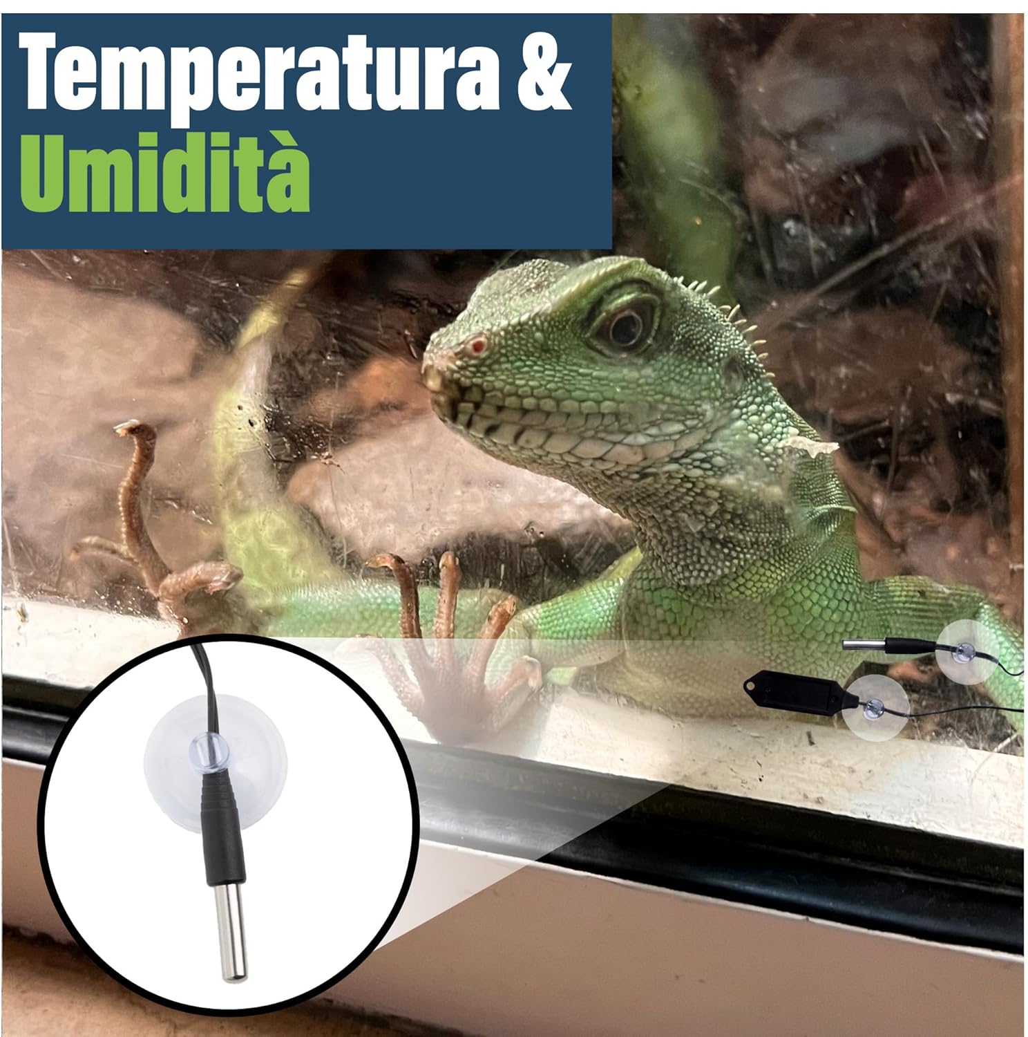 Termometro e Igrometro Digitale per Terrario Rettili - immagine 6