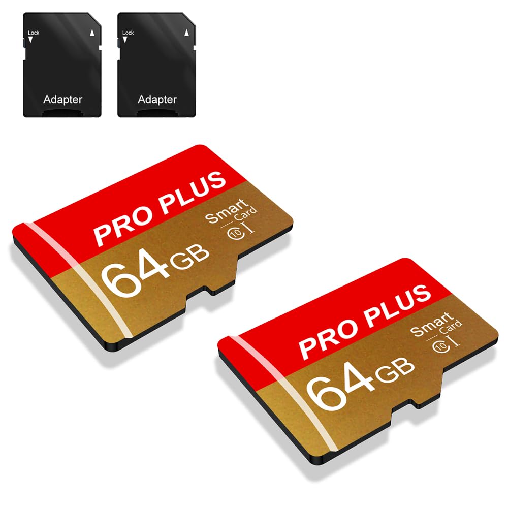 Scheda di Memoria 64GB Classe 10 UHS-I A1 (2 Pack)
