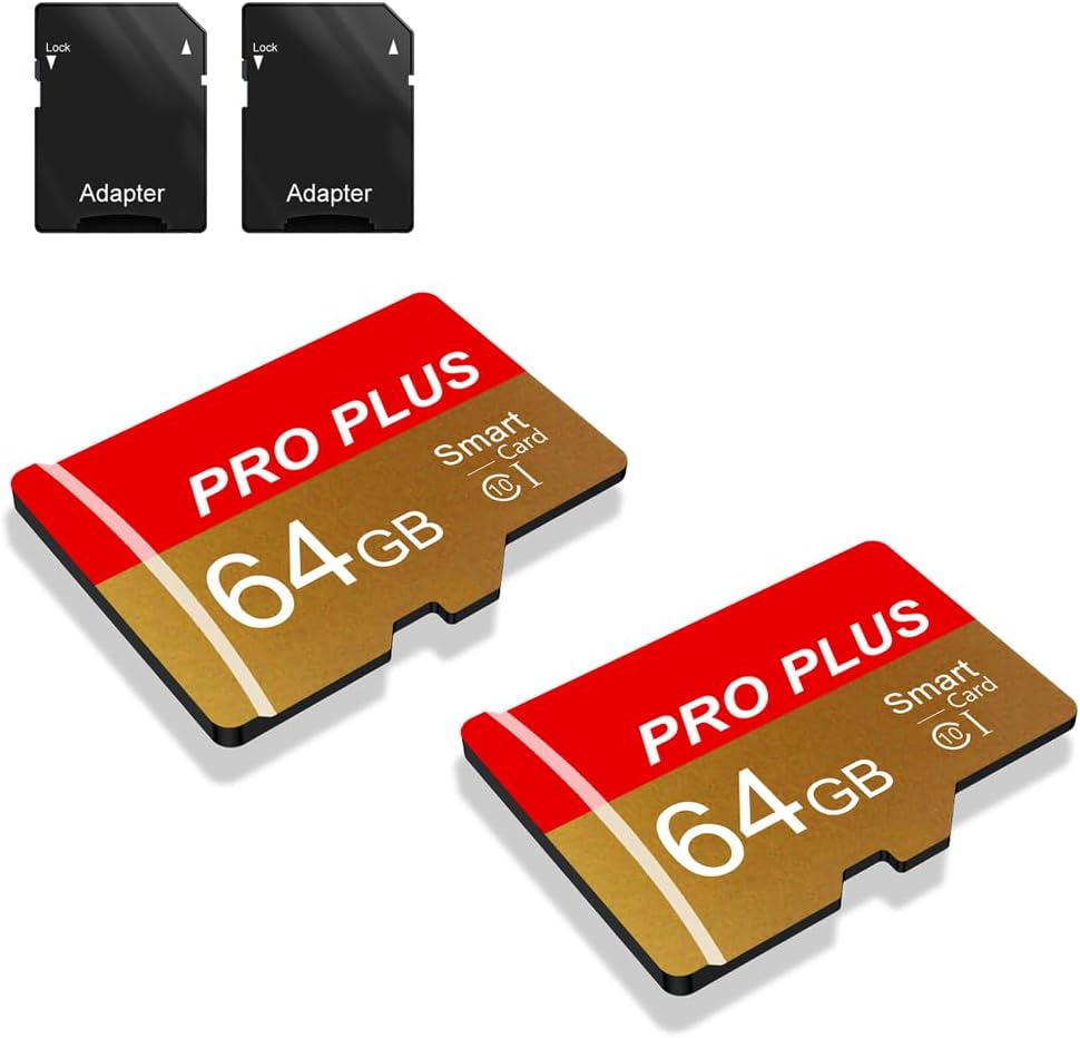 Scheda di Memoria 64GB Classe 10 UHS-I A1 (2 Pack) - immagine 1