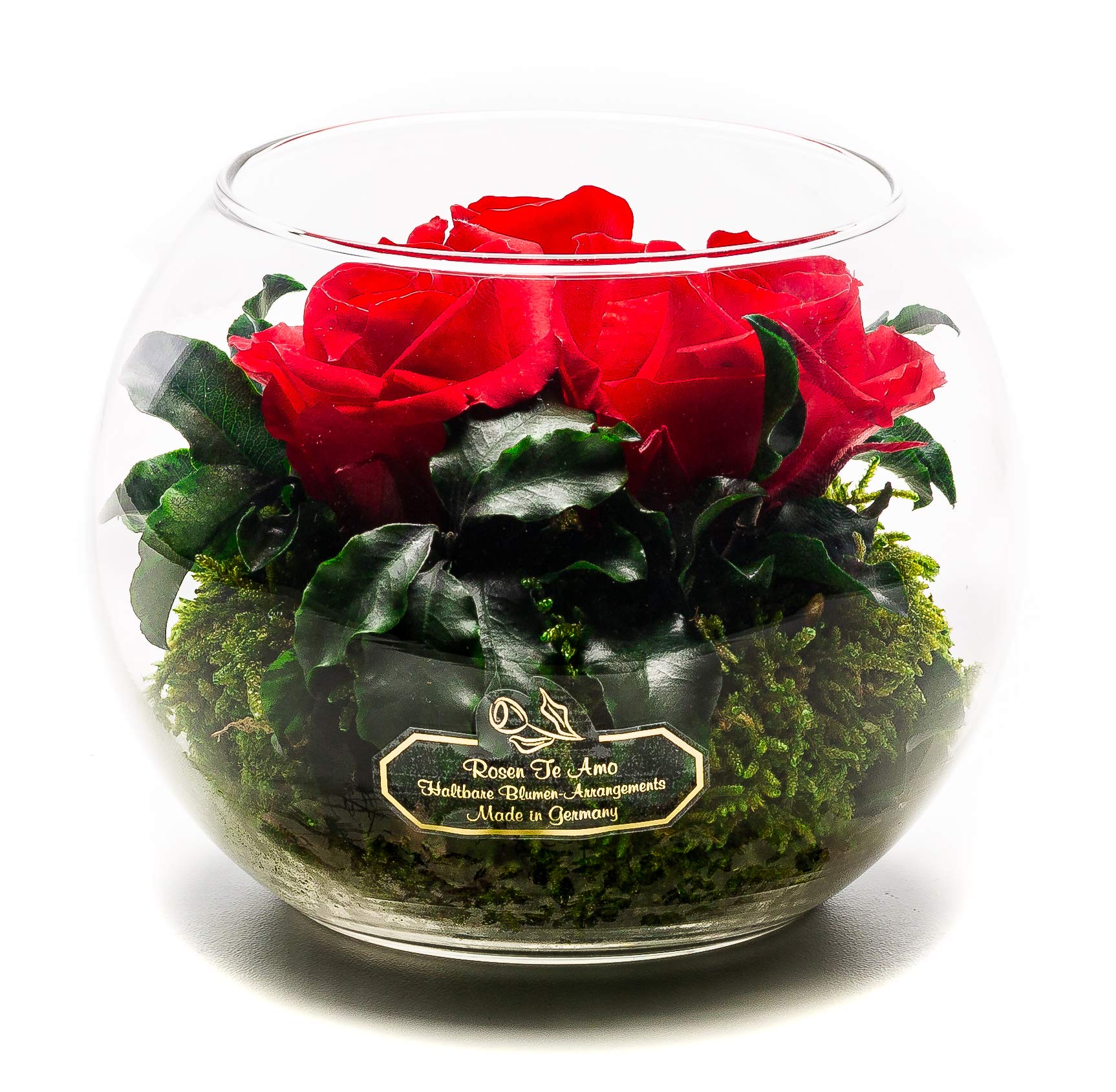 Rosen-te-amo | Rose Stabilizzate Vere Profumate in Vaso