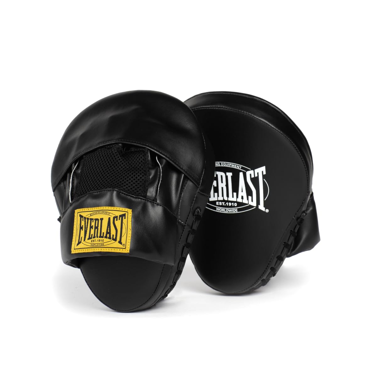 Everlast 1910 Boxing Gloves - Guanti Avanzati