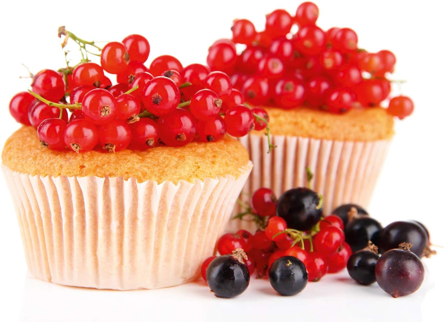 Caso Germany 3172 AF200 Friggitrice - immagine 12