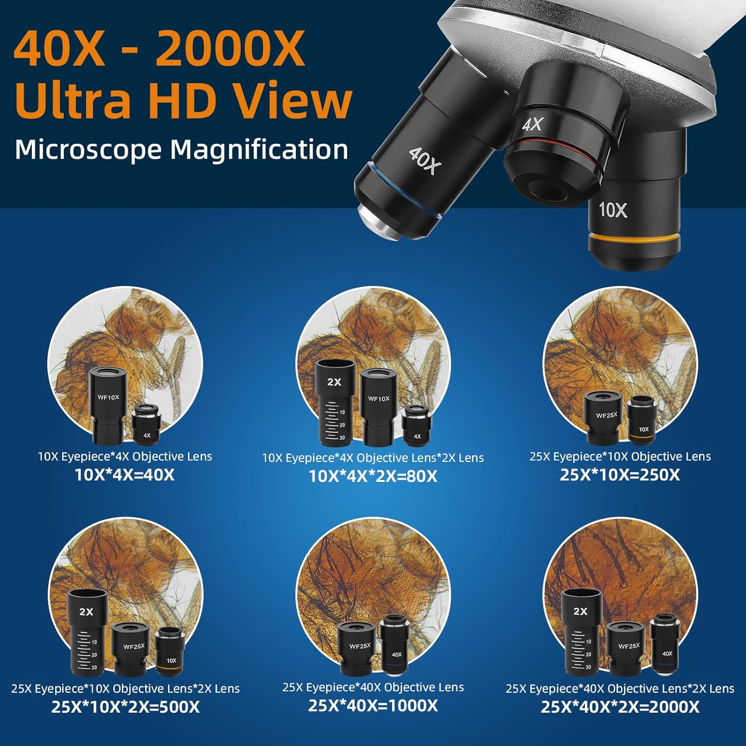 Microscopio Professionale 40X-2000X Doppia Illuminazione LED - immagine 3