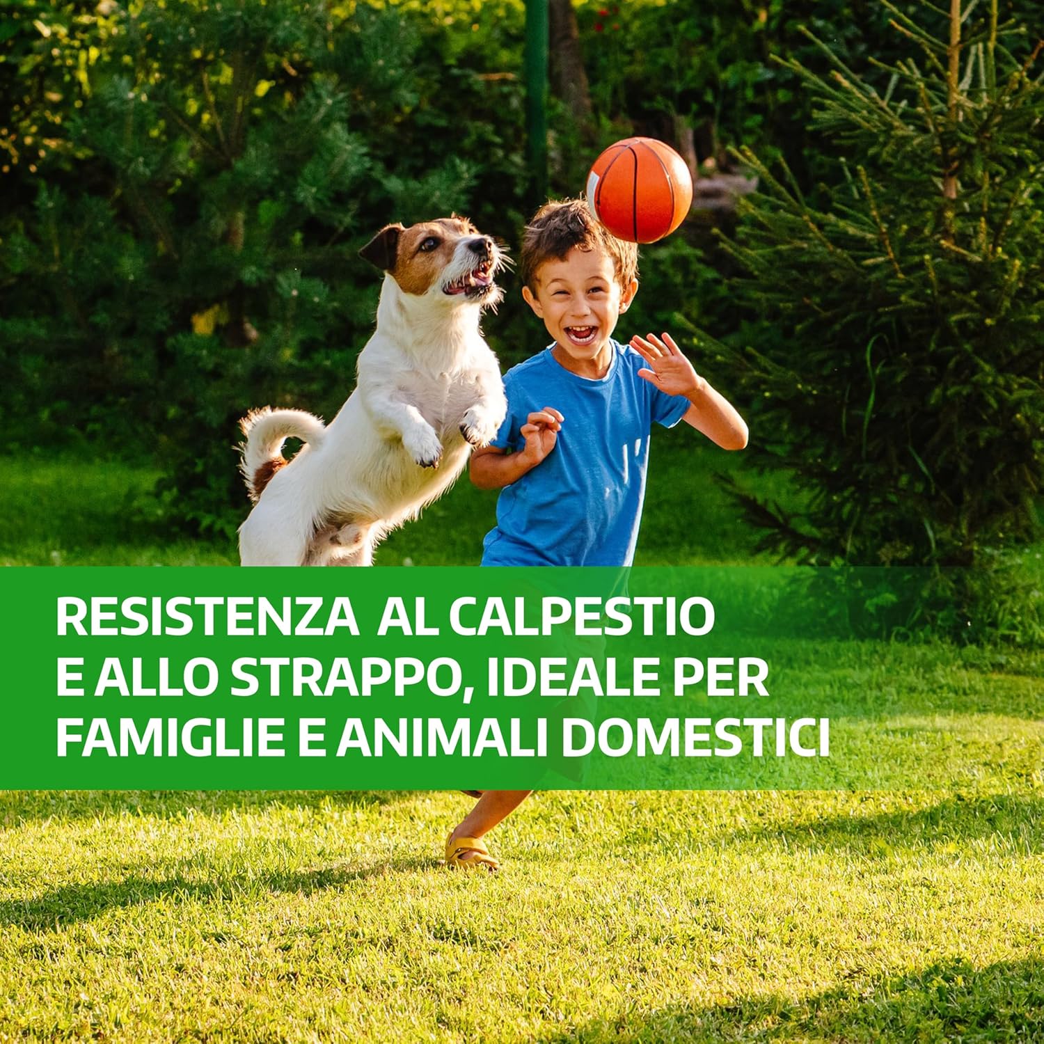 Lerava® Semi Gramigna per Prato Calpestabile 1kg (100m²) - immagine 3