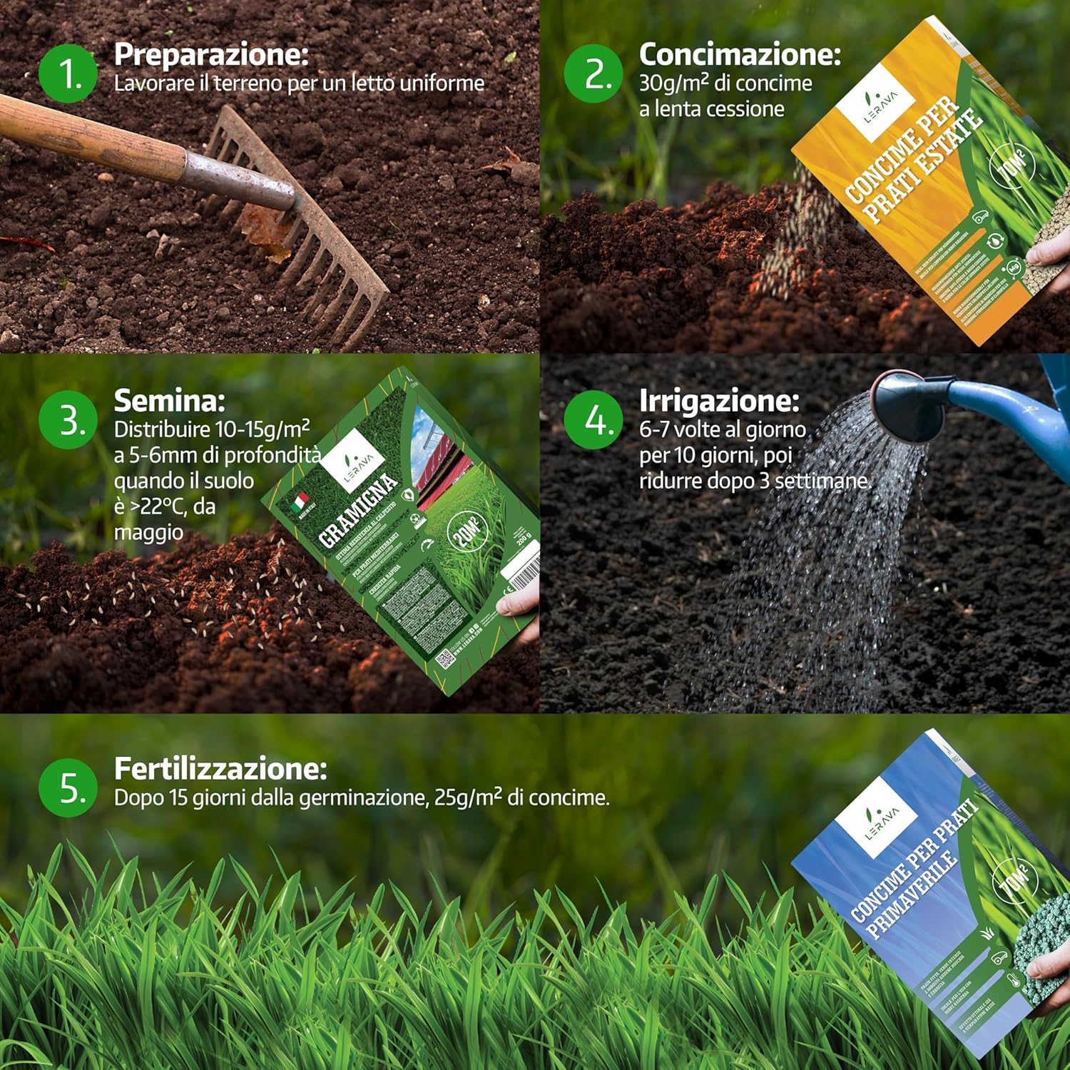 Lerava® Semi Gramigna per Prato Calpestabile 1kg (100m²) - immagine 6