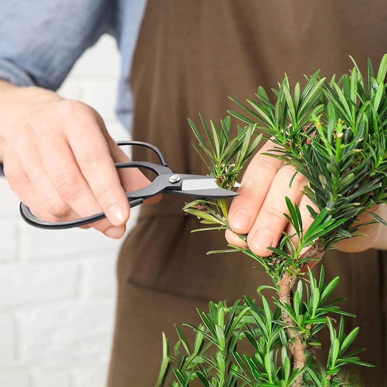 Holzsammlung 14 Pezzi Set di Attrezzi da Giardino Bonsai - immagine 3