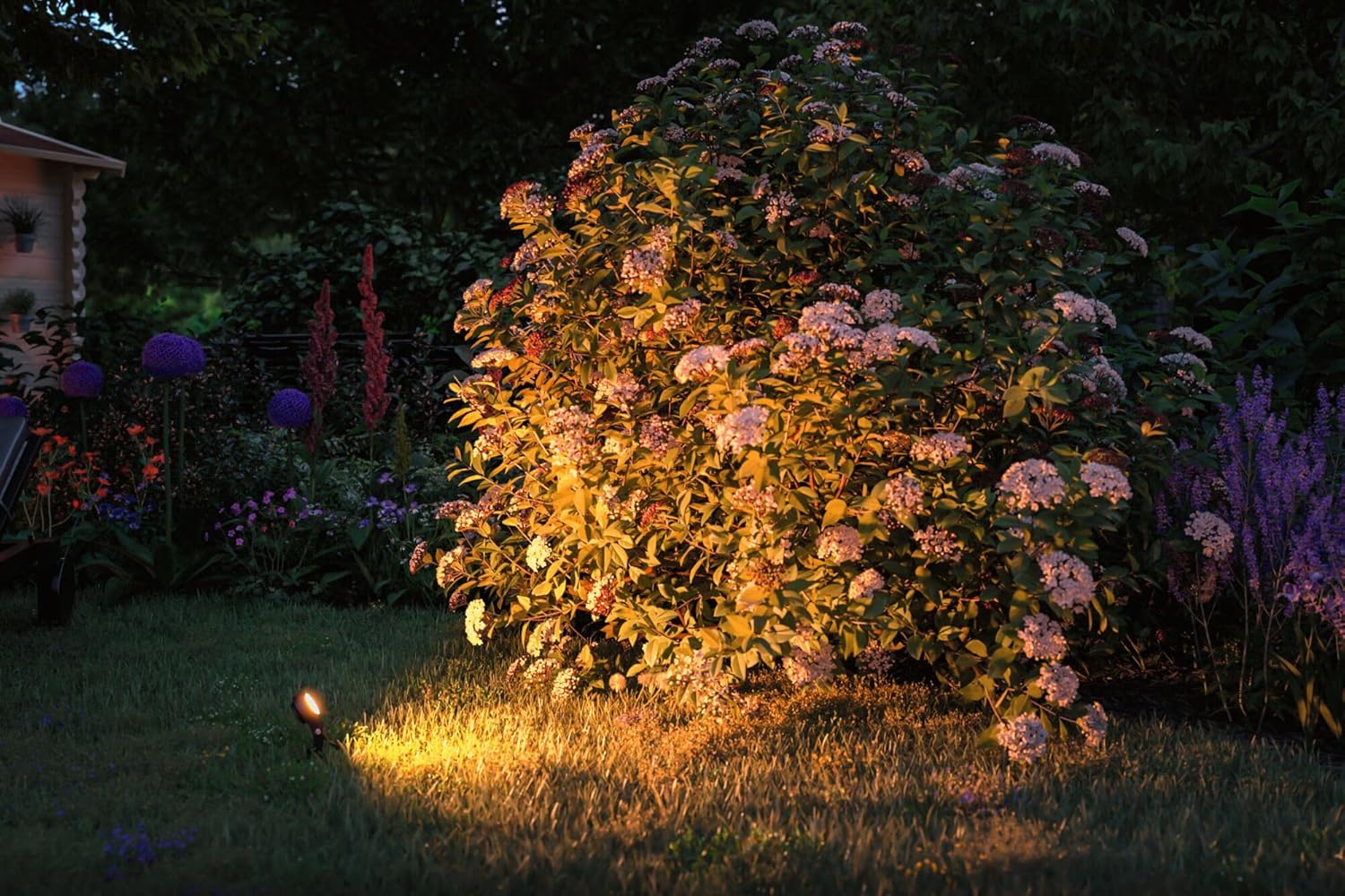 Paulmann 93689 Plug & Shine Lampada LED Sting 6W - immagine 6