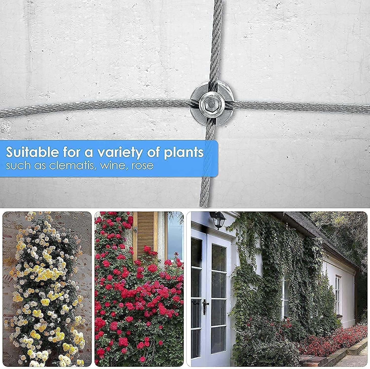 Supporto per Piante Rampicanti Acciaio Inox (Set Completo) - immagine 2