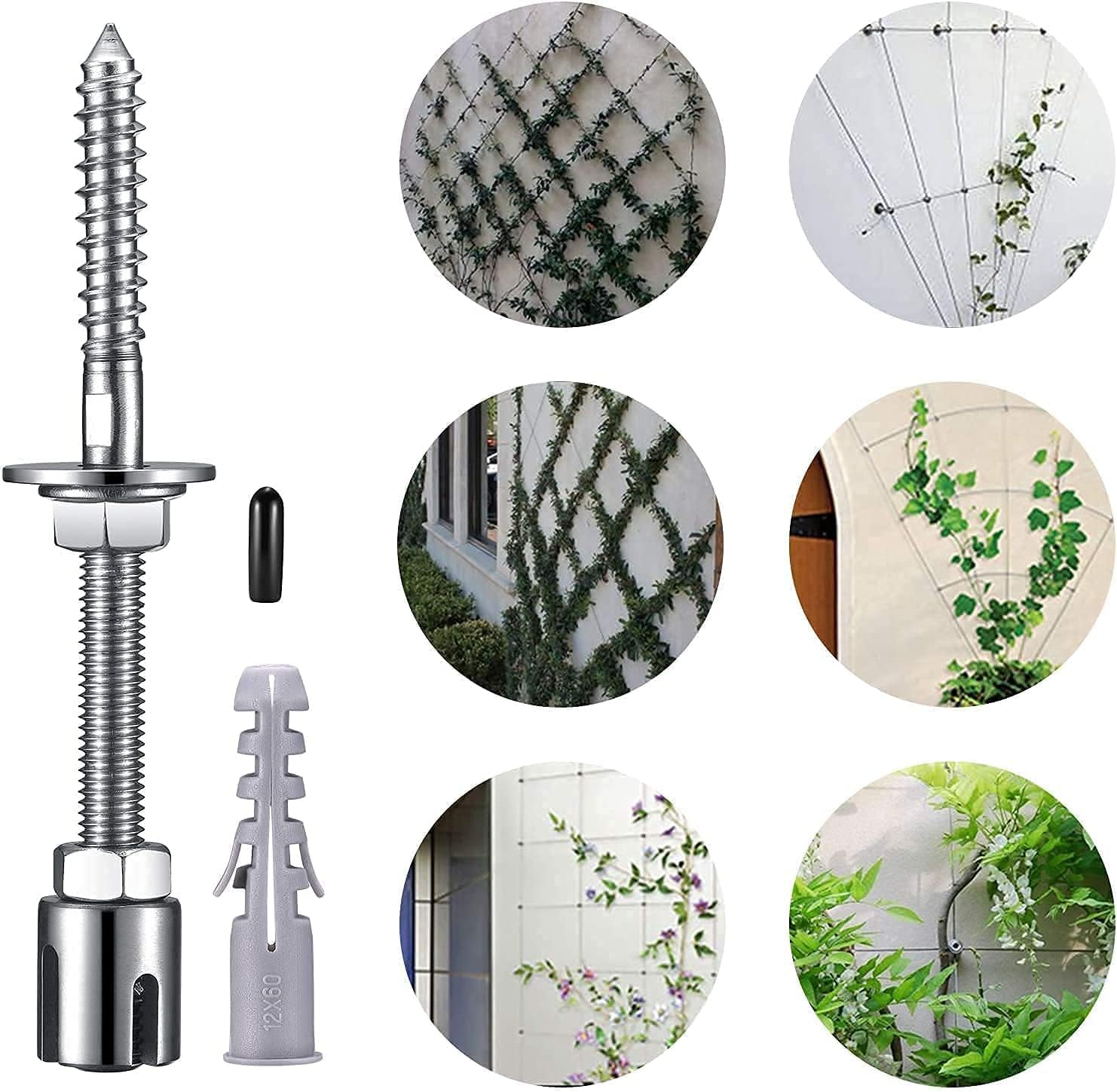 Supporto per Piante Rampicanti Acciaio Inox (Set Completo) - immagine 6