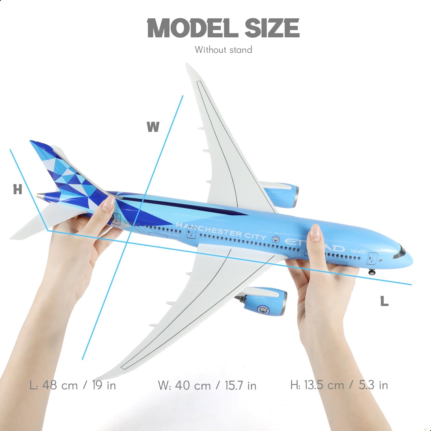 Modello Aereo Etihad 787 1/130 con Supporto (43 cm) - immagine 2
