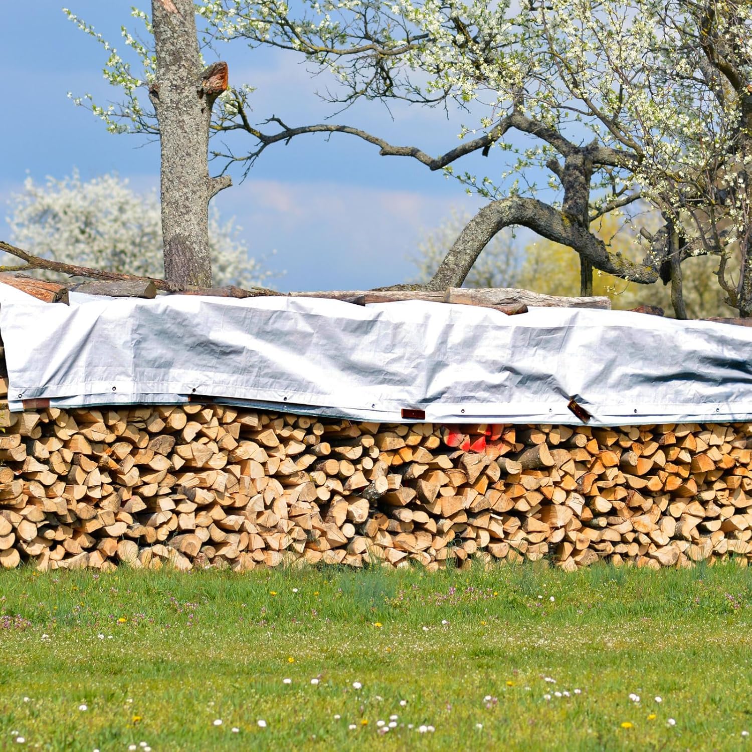 Telone Impermeabile Rinforzato con Occhielli - immagine 4