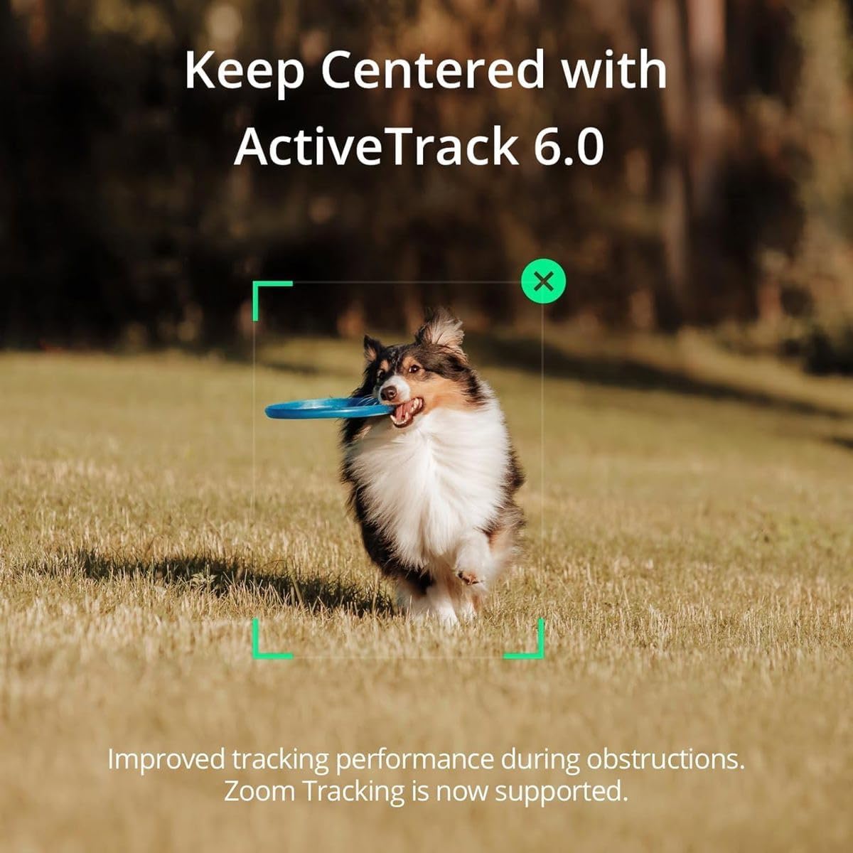 DJI Osmo Mobile SE Smartphone Gimbal - immagine 3