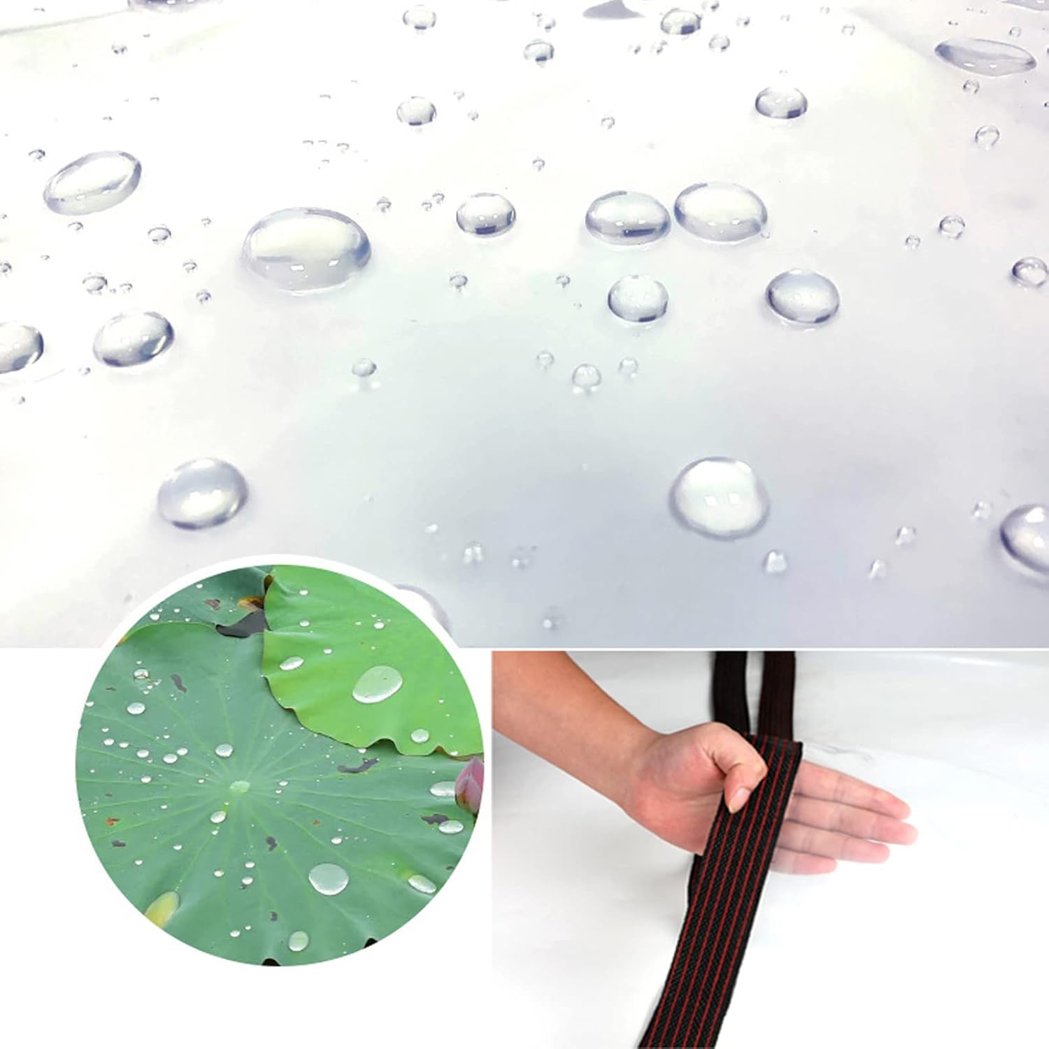 Telone Trasparente Impermeabile 2x5m con Occhielli - immagine 8