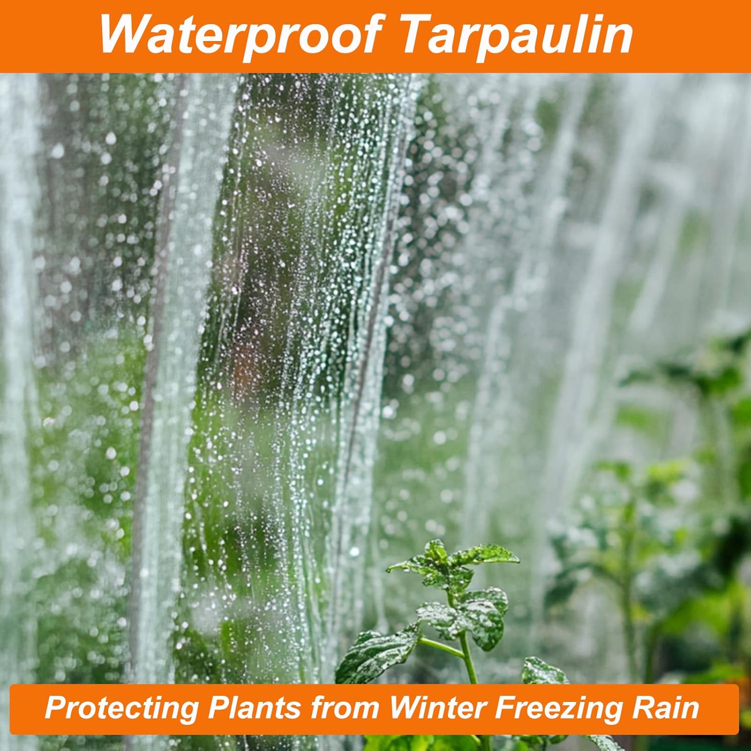 Begrit Telo Trasparente con Occhielli 3x4M - immagine 7