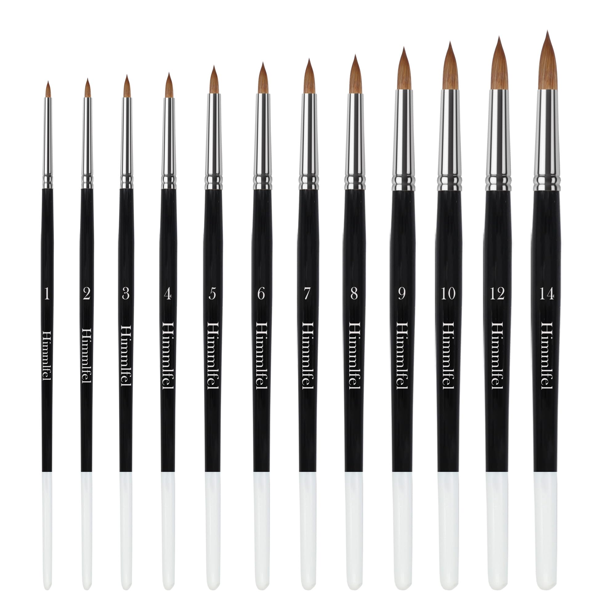 Pennelli a Punta Tonda, 12 Pezzi