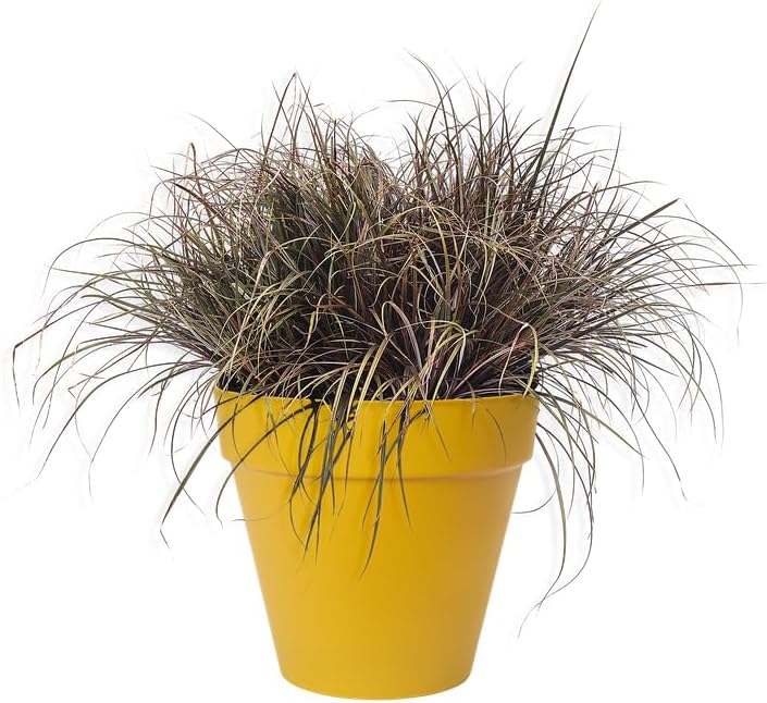 Elho Loft Urban Round 20 - Vasi per Piante da Esterno, Giallo - immagine 8