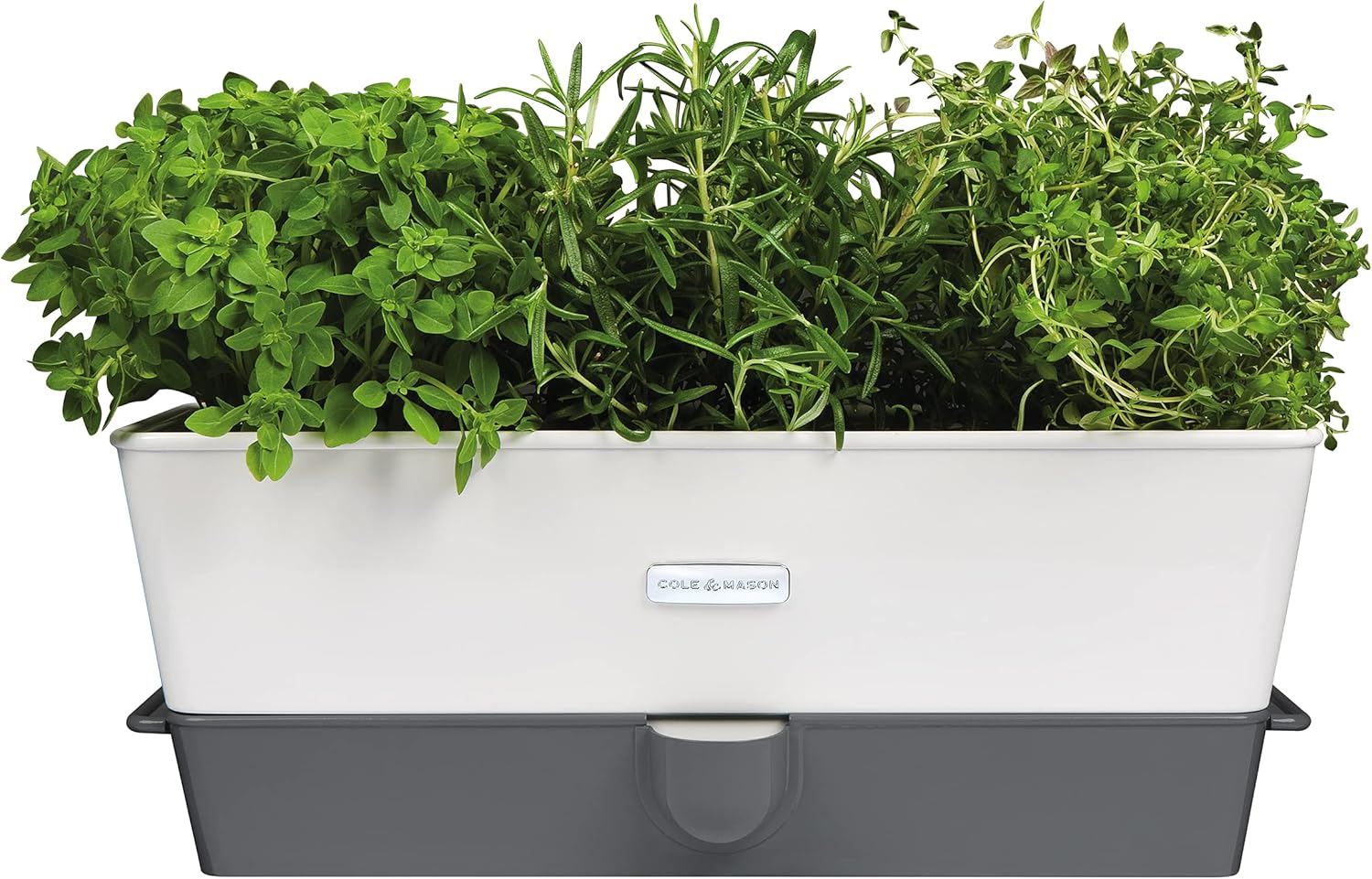 Cole & Mason Burwell Vaso Autoirrigante Triplo per Erbe - immagine 1