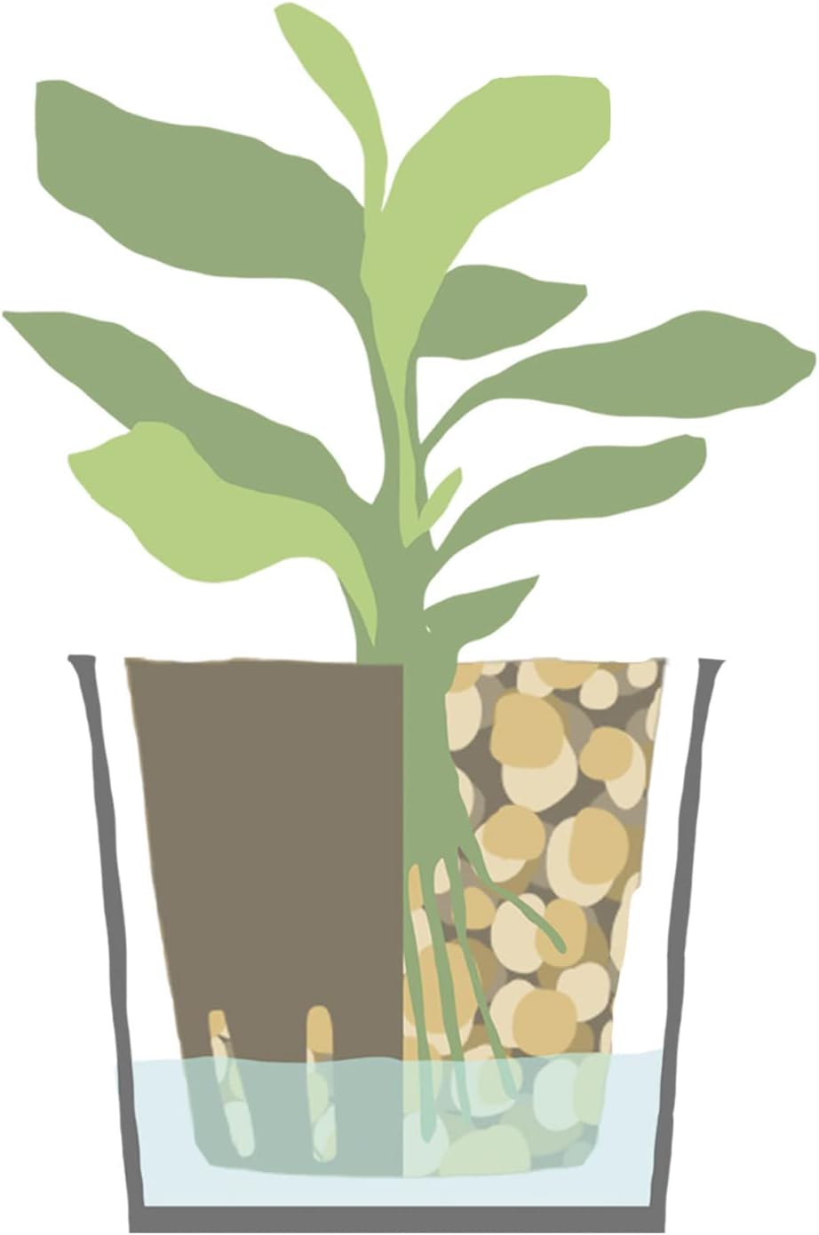 Kalapanta IDROPON P-MAX Nutrimento Professionale Idrocoltura - immagine 3