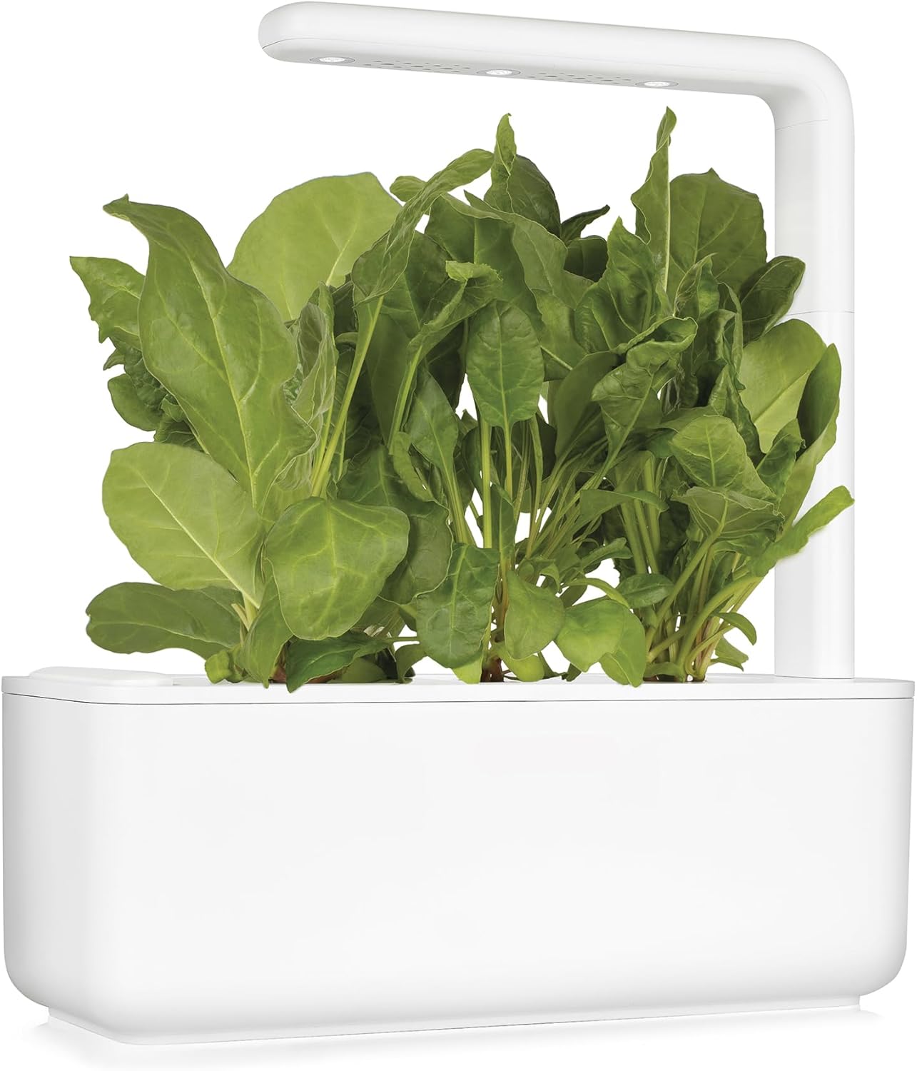 Kalapanta IDROPON P-MAX Nutrimento Professionale Idrocoltura - immagine 6