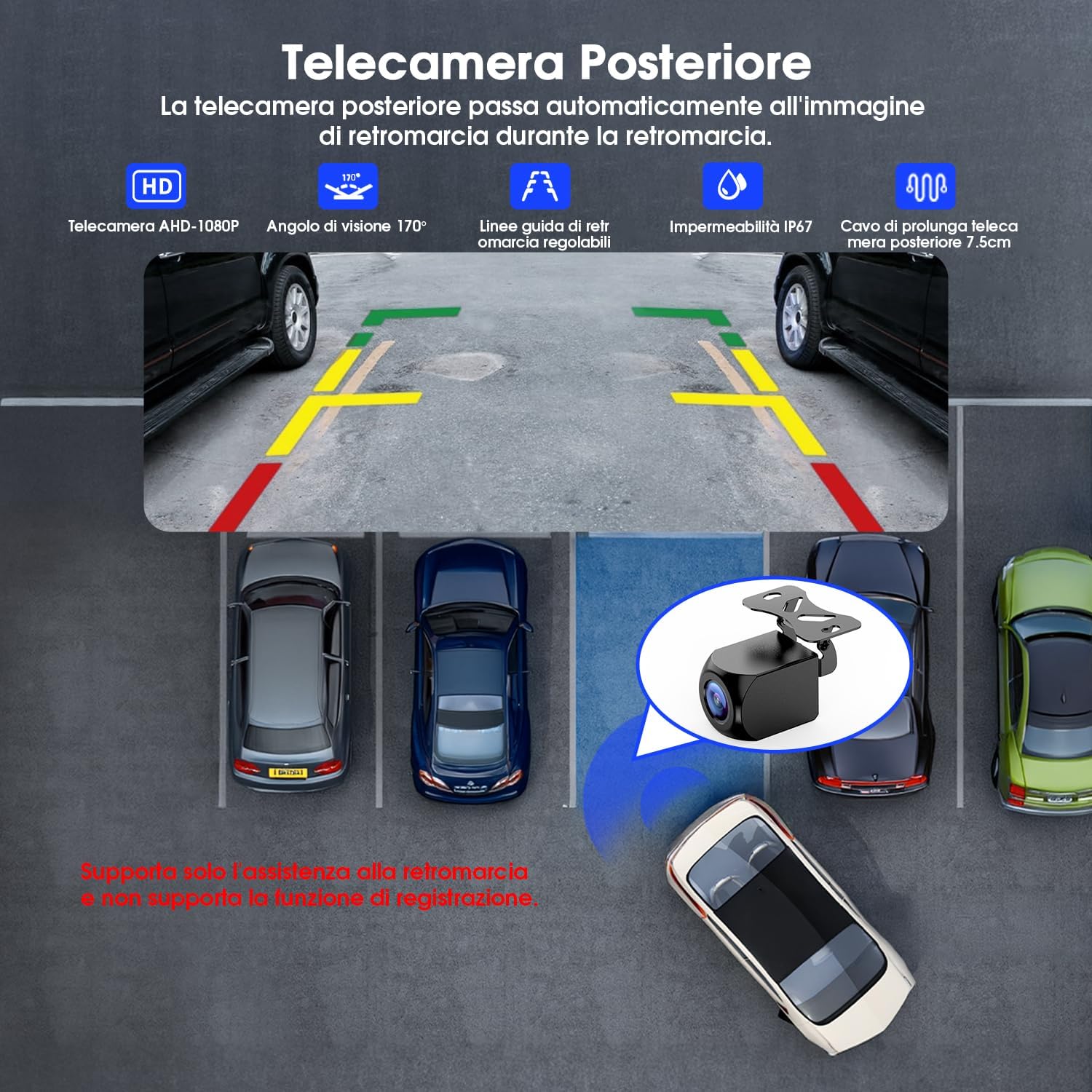 Avylet 8'' CarPlay & Android Auto con Fotocamera Posteriore - immagine 5