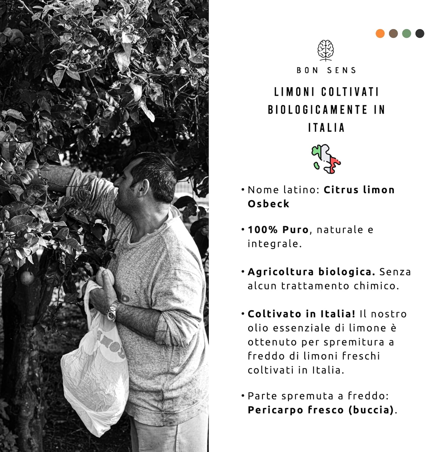 Olio Essenziale di Limone BIO 50ml - Grado Alimentare - immagine 5