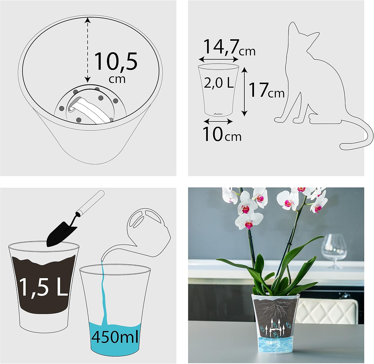 Santino Set 4 Vasi per Orchidee Trasparenti 15cm - immagine 4