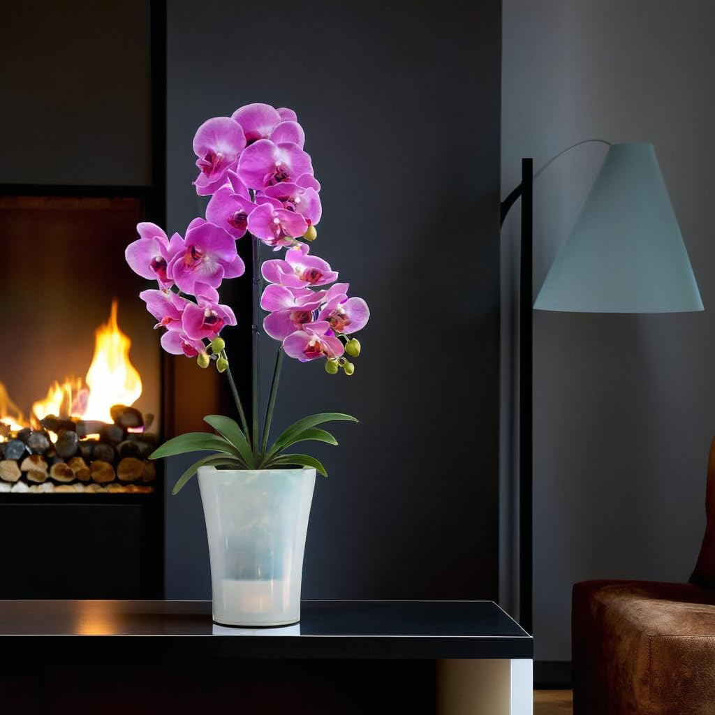 Santino Set 4 Vasi per Orchidee Trasparenti 15cm - immagine 6