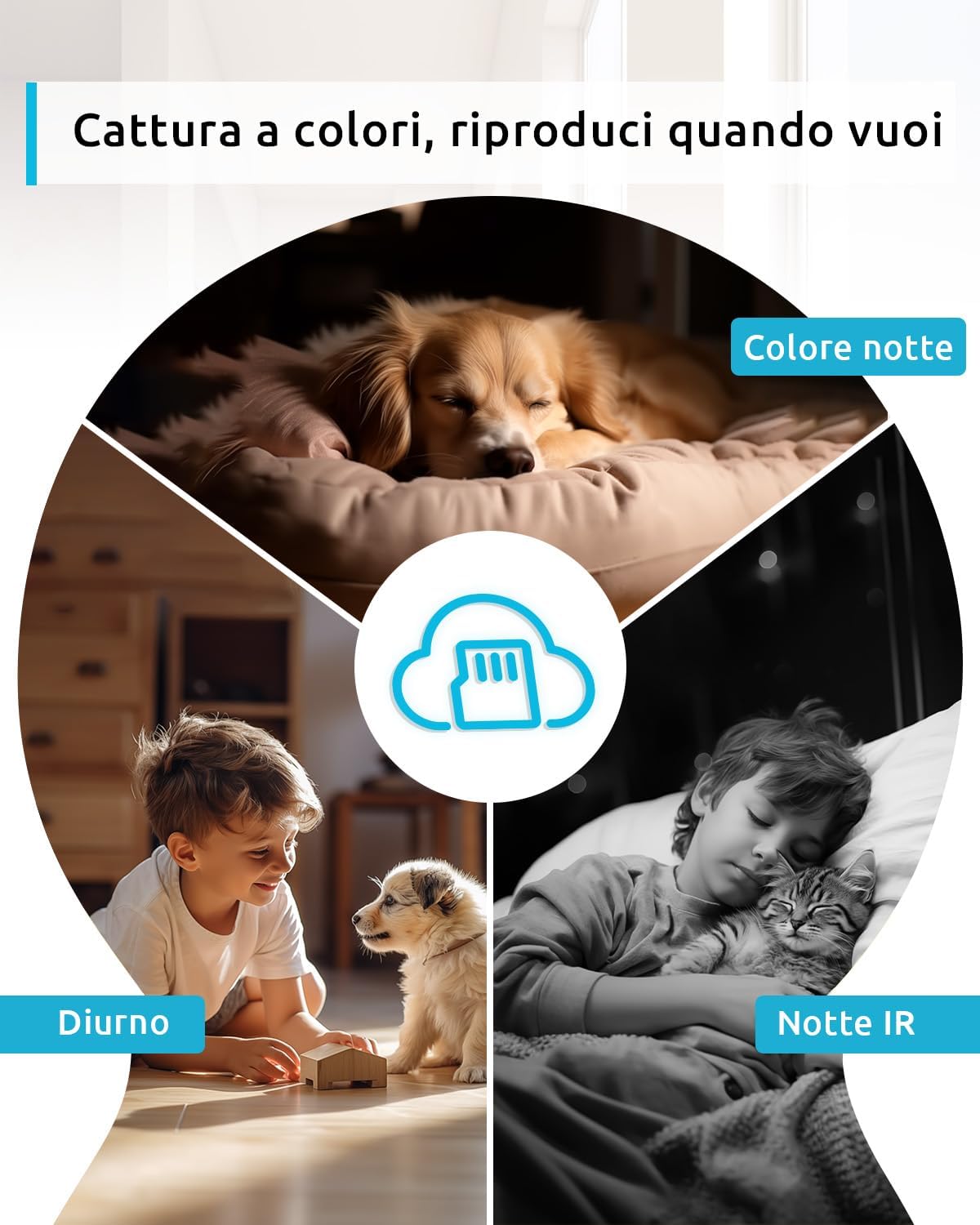 Blurams Telecamera Wi-Fi Interno 2K 360° - immagine 4
