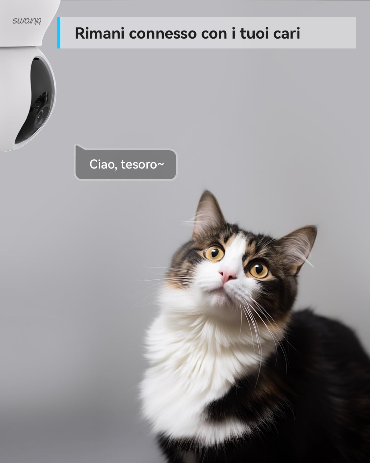 Blurams Telecamera Wi-Fi Interno 2K (Kit da 2) - immagine 5