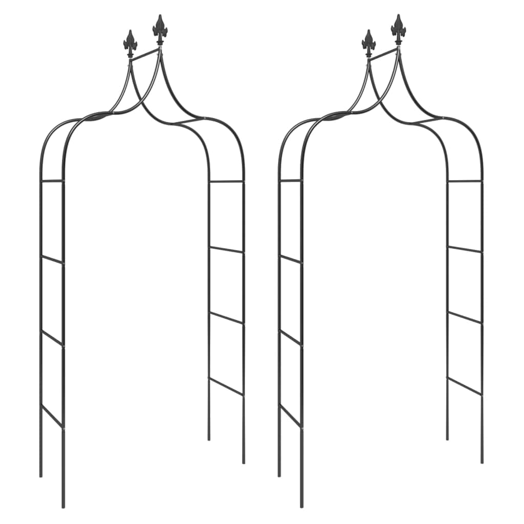 vidaXL Archi da Giardino 2 pz Neri 120x38x260 cm Acciaio