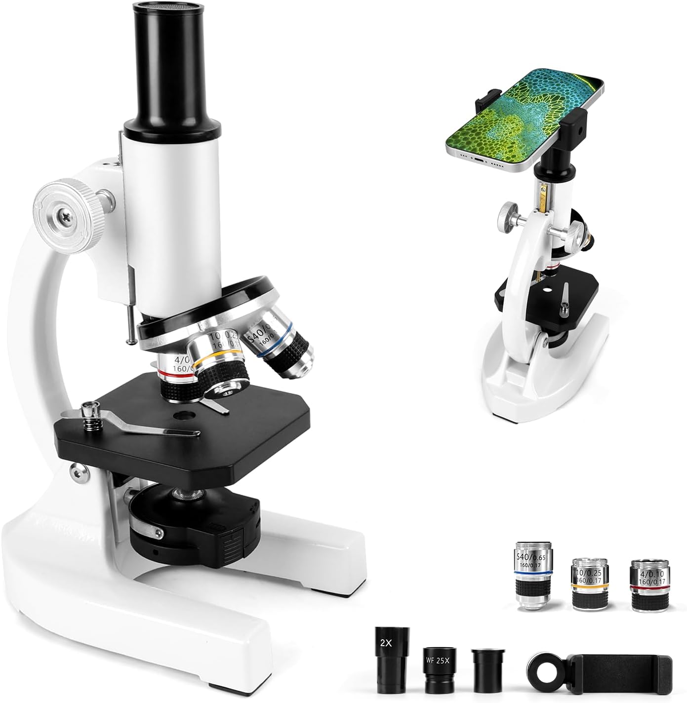 Microscopio Ottico in Metallo 40-2000x - immagine 1