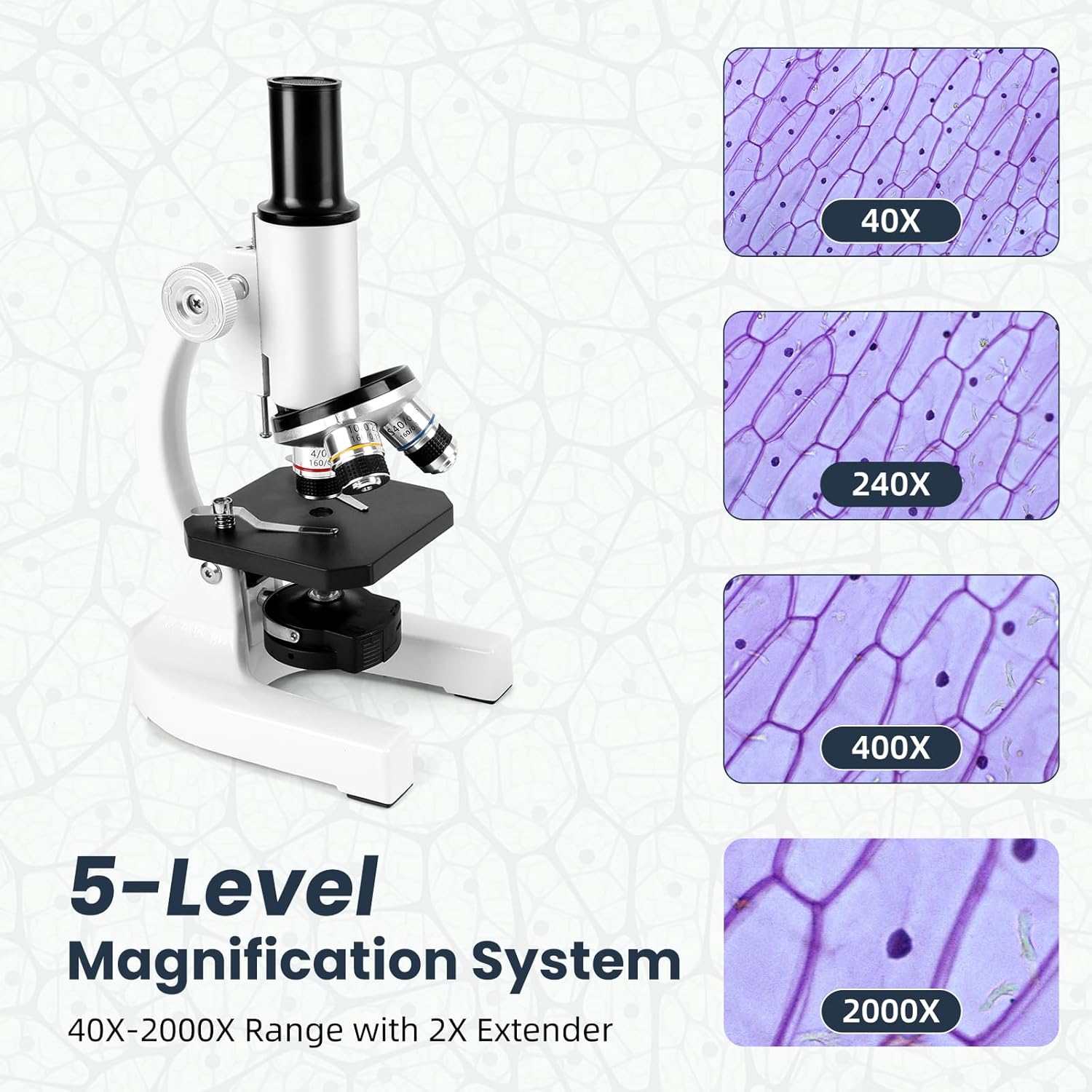 Microscopio Ottico in Metallo 40-2000x - immagine 4