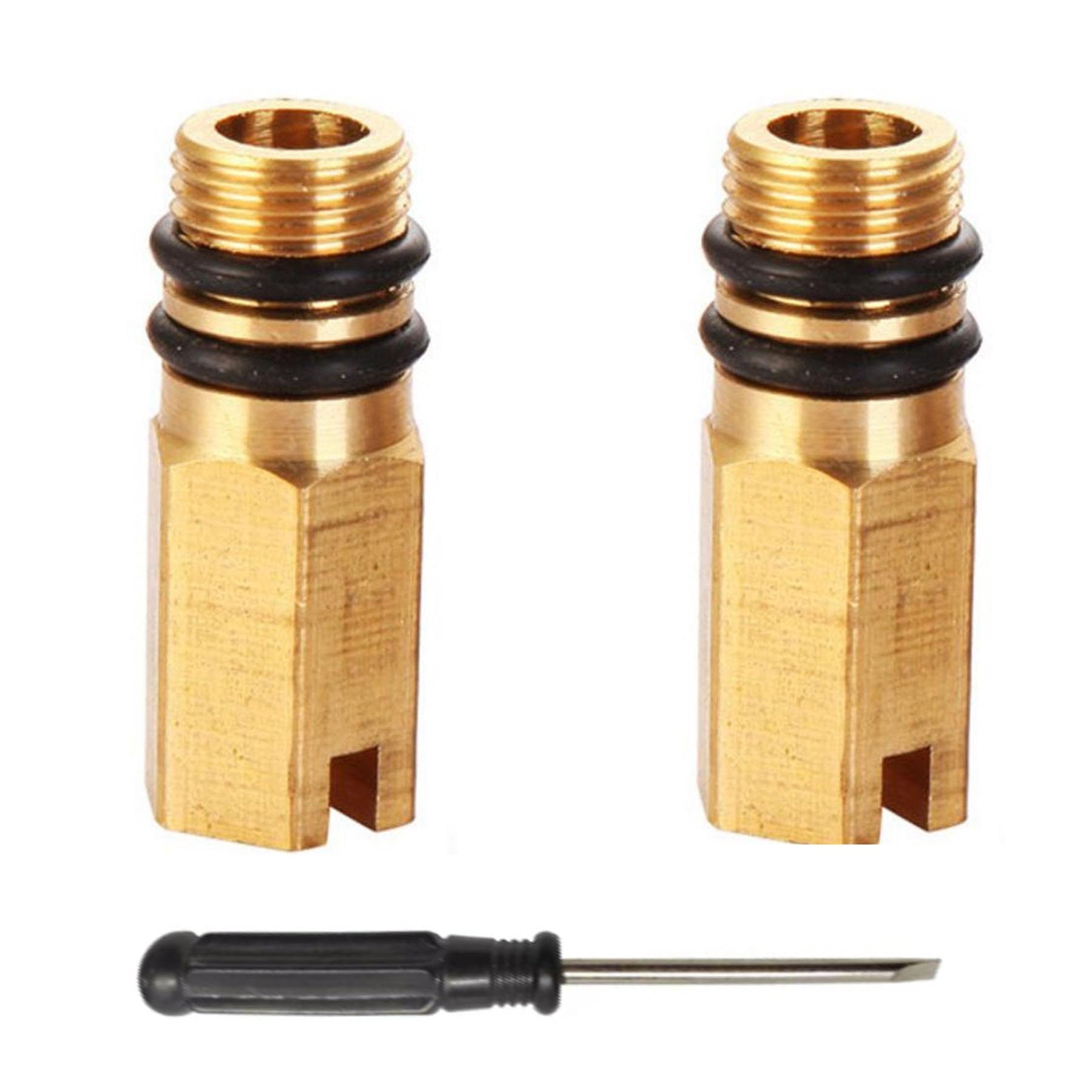 Alriedy 2 Tappi Ciechi in Ottone M10 Impermeabili