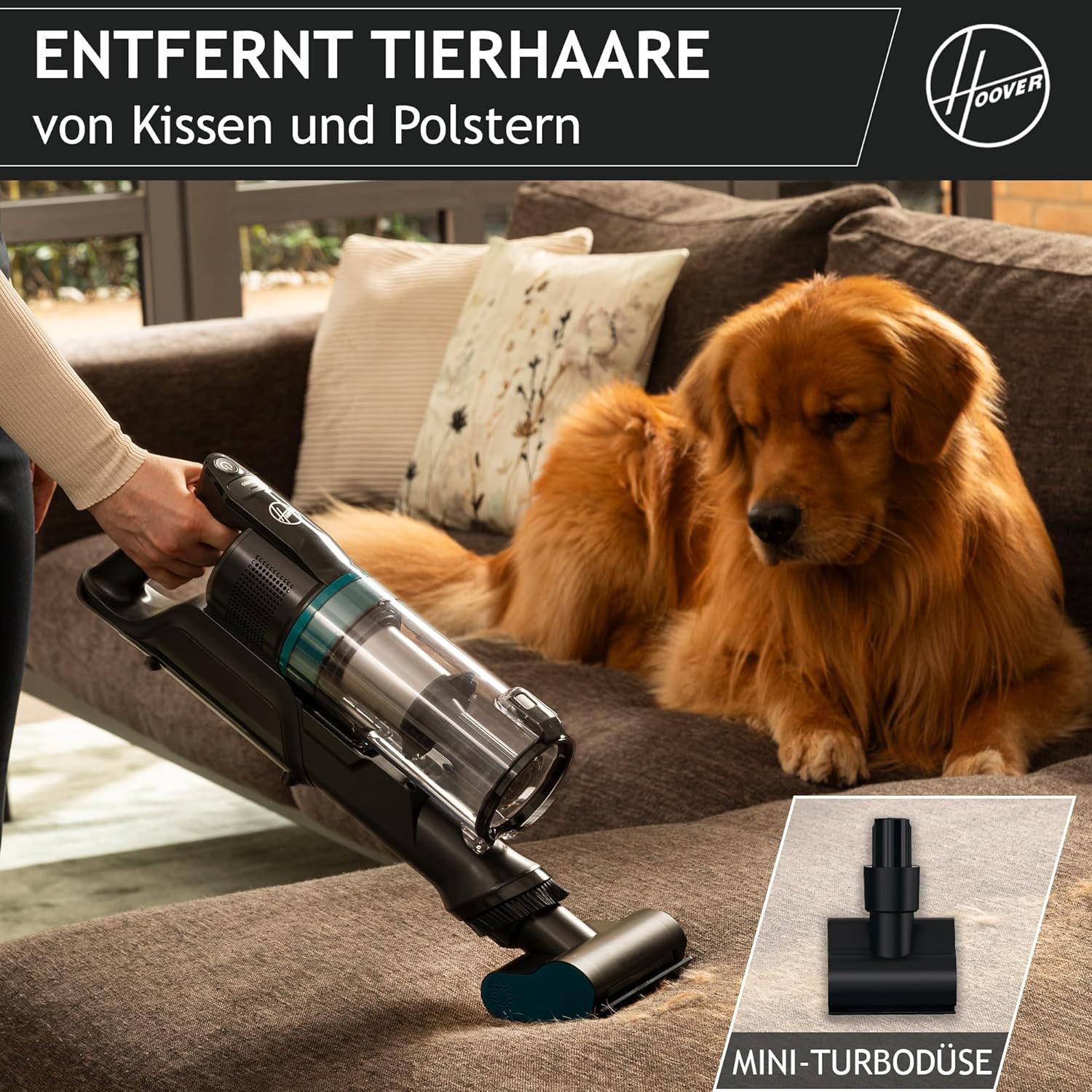 Hoover HF1P10P 011 39401056, 0, Nero/Blu Verde - immagine 5