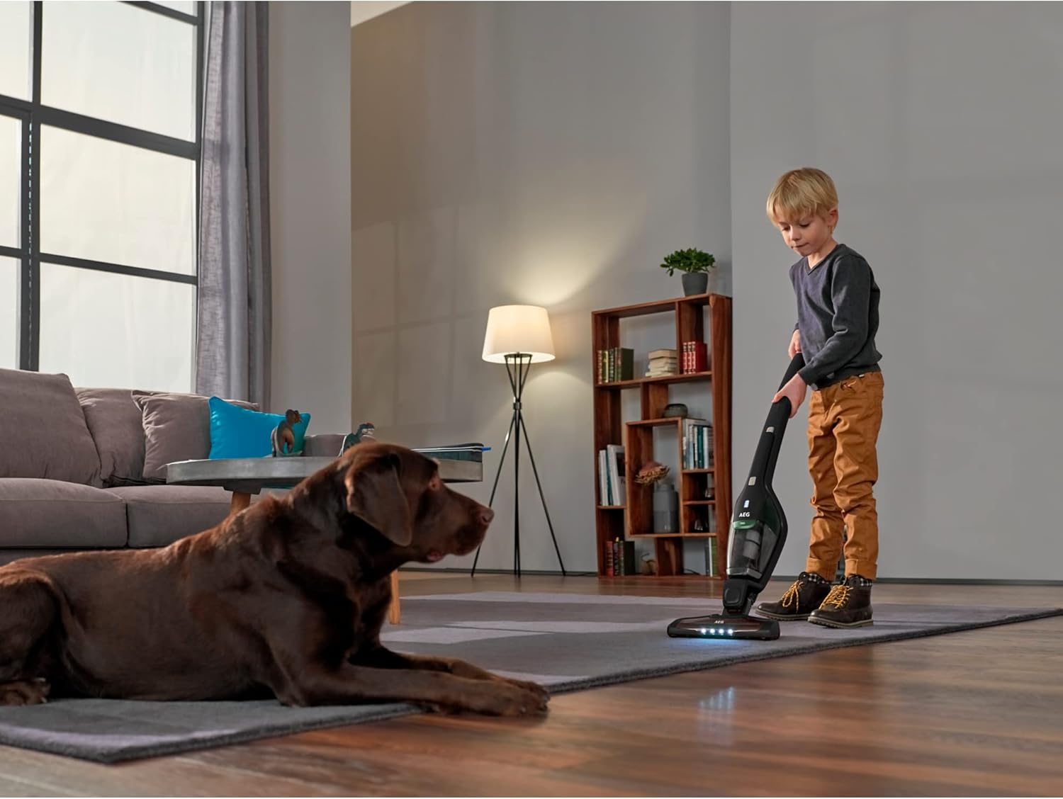 AEG CX7-2-45MÖ, Aspirapolvere a Batteria, Nero Ecologico - immagine 4