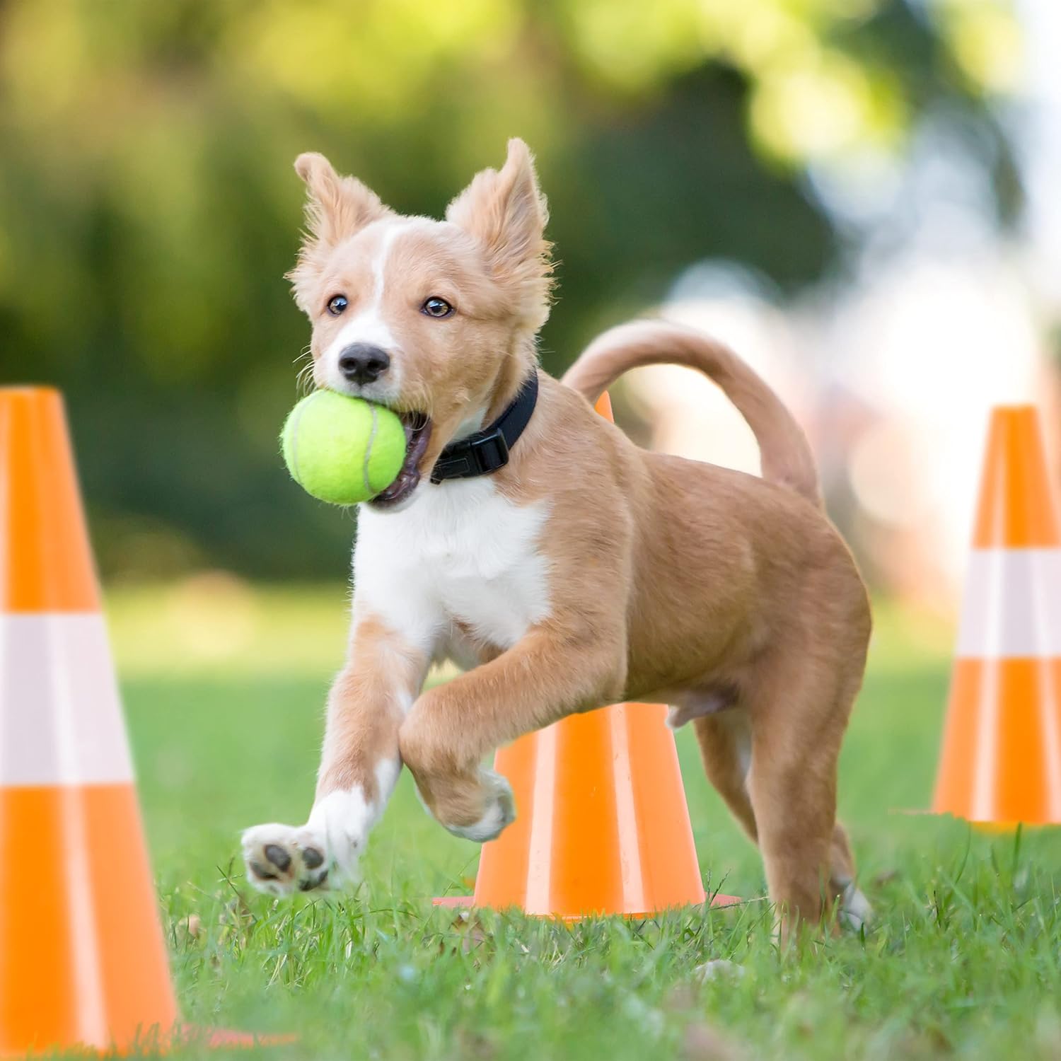 Relaxdays Pylonen Set 18 Pylons 30cm, Orange - immagine 5