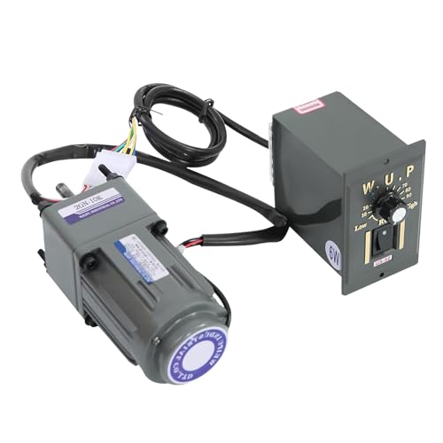 Motore Elettrico con Riduttore AC 6W 220V