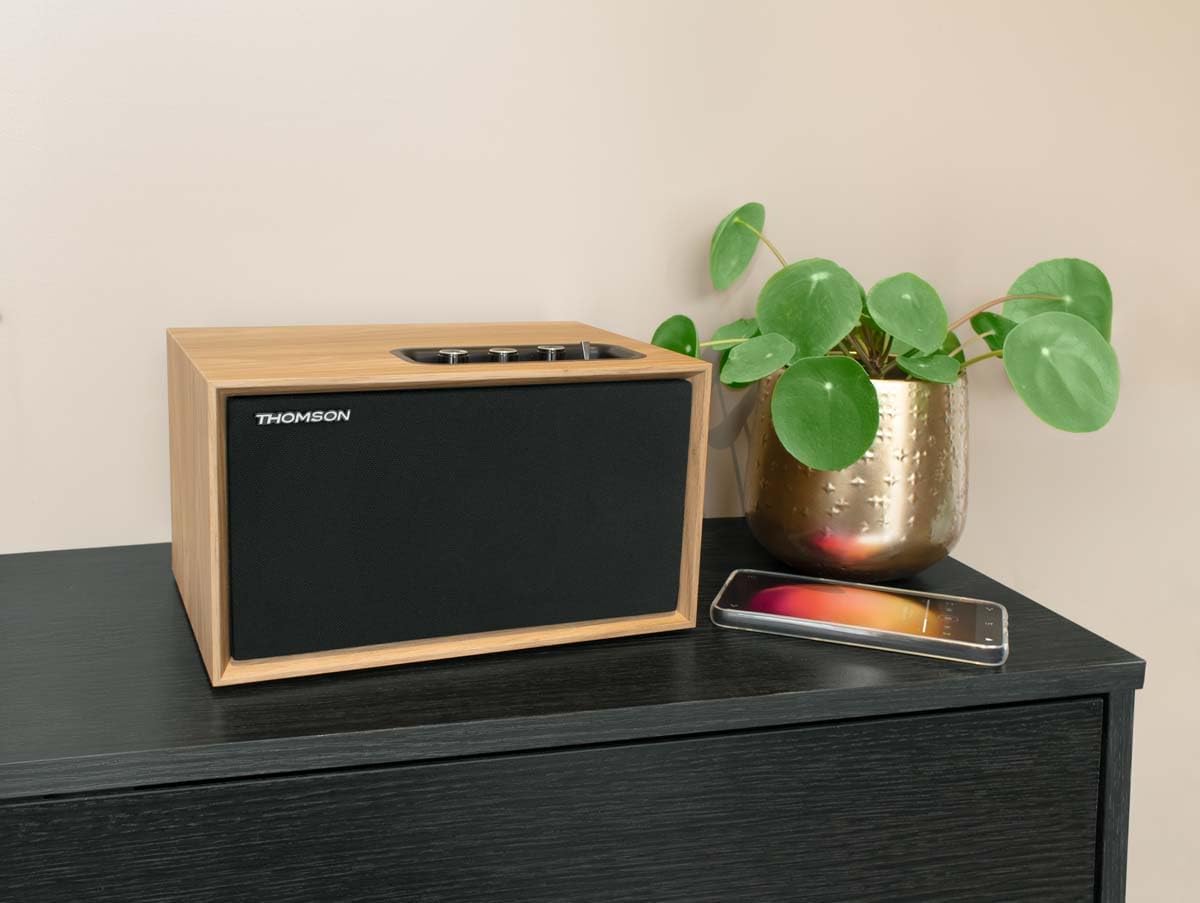 Thomson WS302 - Altoparlante Bluetooth 5.3 50W, Marrone - immagine 3